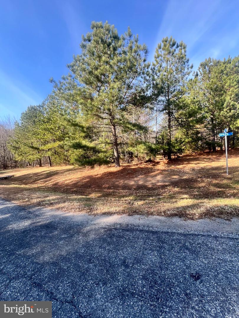 79, 90 HEMLOCK LOOP, MINERAL, Virginia 23117, ,Land,For sale,79,90 HEMLOCK LOOP,VALA2007802 MLS # VALA2007802