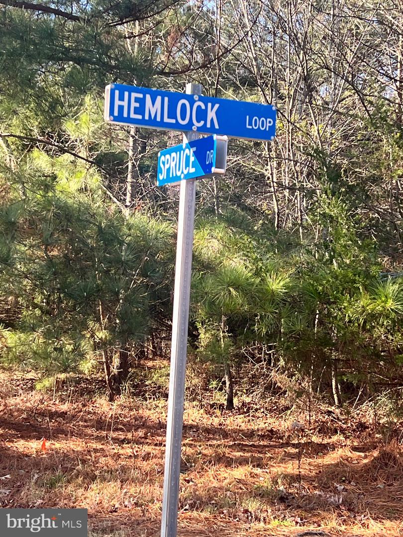 79, 90 HEMLOCK LOOP, MINERAL, Virginia 23117, ,Land,For sale,79,90 HEMLOCK LOOP,VALA2007802 MLS # VALA2007802