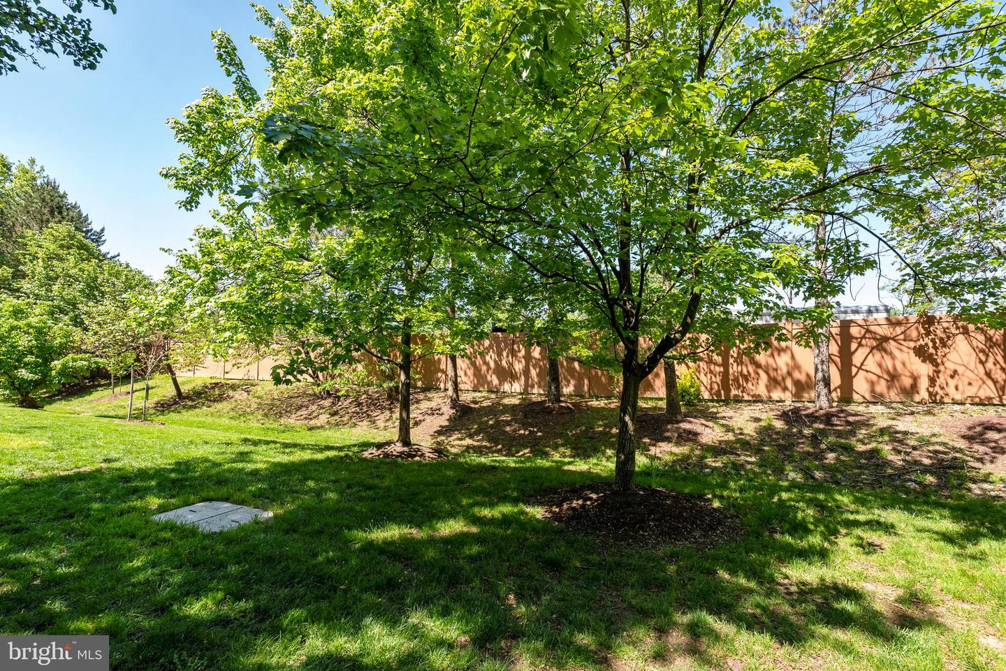 113 LAKE COOK DR, ALEXANDRIA, Virginia 22304, 4 Bedrooms Bedrooms, ,3 BathroomsBathrooms,Residential,For sale,113 LAKE COOK DR,VAAX2043698 MLS # VAAX2043698