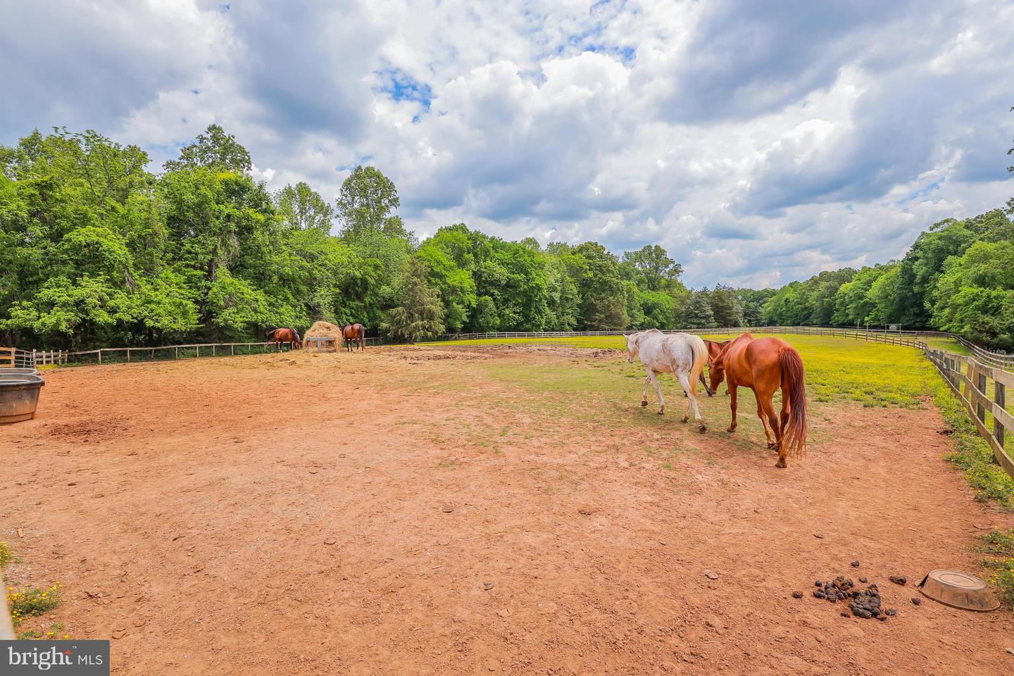 2418 MILL RD, POWHATAN, Virginia 23139, ,Land,For sale,2418 MILL RD,VAPN2000094 MLS # VAPN2000094