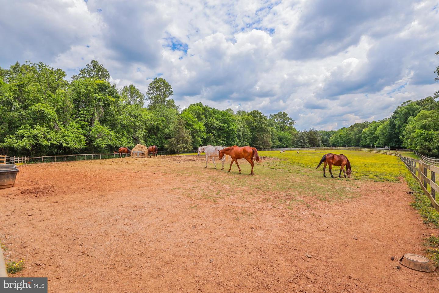 2418 MILL RD, POWHATAN, Virginia 23139, ,Land,For sale,2418 MILL RD,VAPN2000094 MLS # VAPN2000094