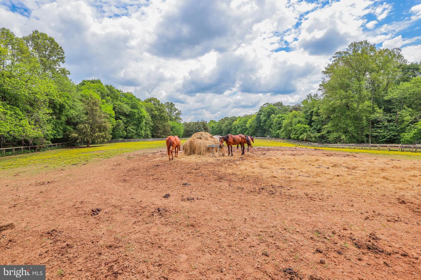 2418 MILL RD, POWHATAN, Virginia 23139, ,Land,For sale,2418 MILL RD,VAPN2000094 MLS # VAPN2000094