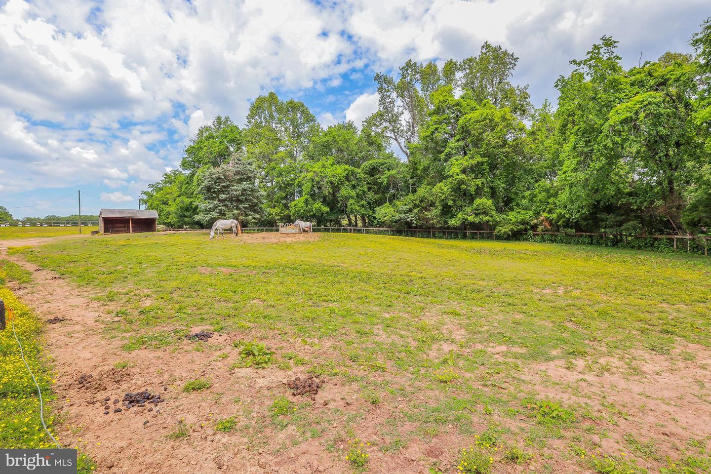 2418 MILL RD, POWHATAN, Virginia 23139, ,Land,For sale,2418 MILL RD,VAPN2000094 MLS # VAPN2000094