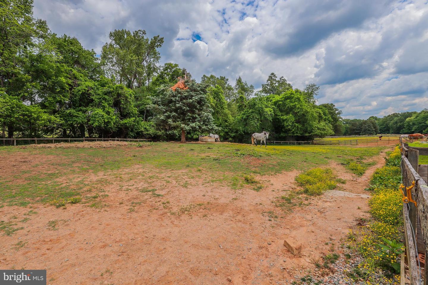 2418 MILL RD, POWHATAN, Virginia 23139, ,Land,For sale,2418 MILL RD,VAPN2000094 MLS # VAPN2000094