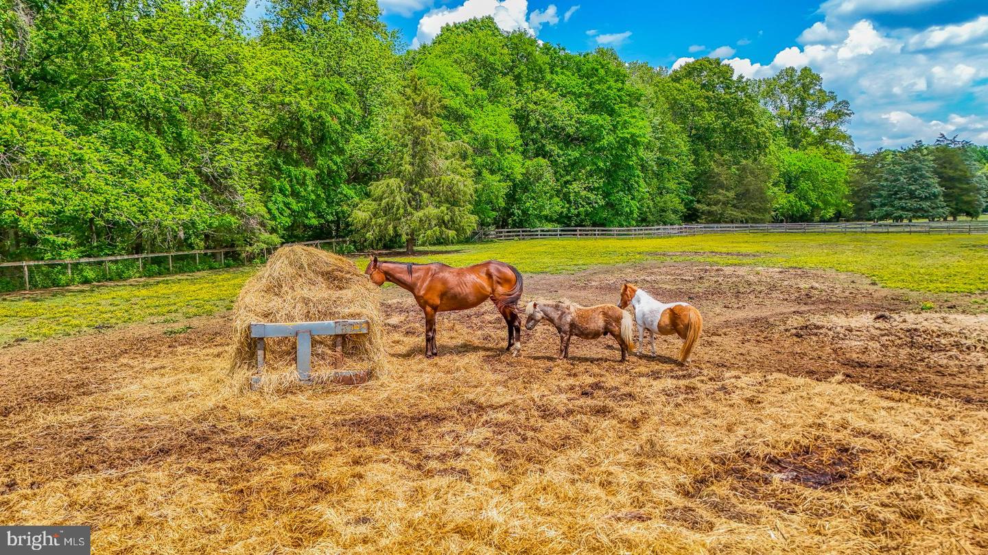 2418 MILL RD, POWHATAN, Virginia 23139, ,Land,For sale,2418 MILL RD,VAPN2000094 MLS # VAPN2000094