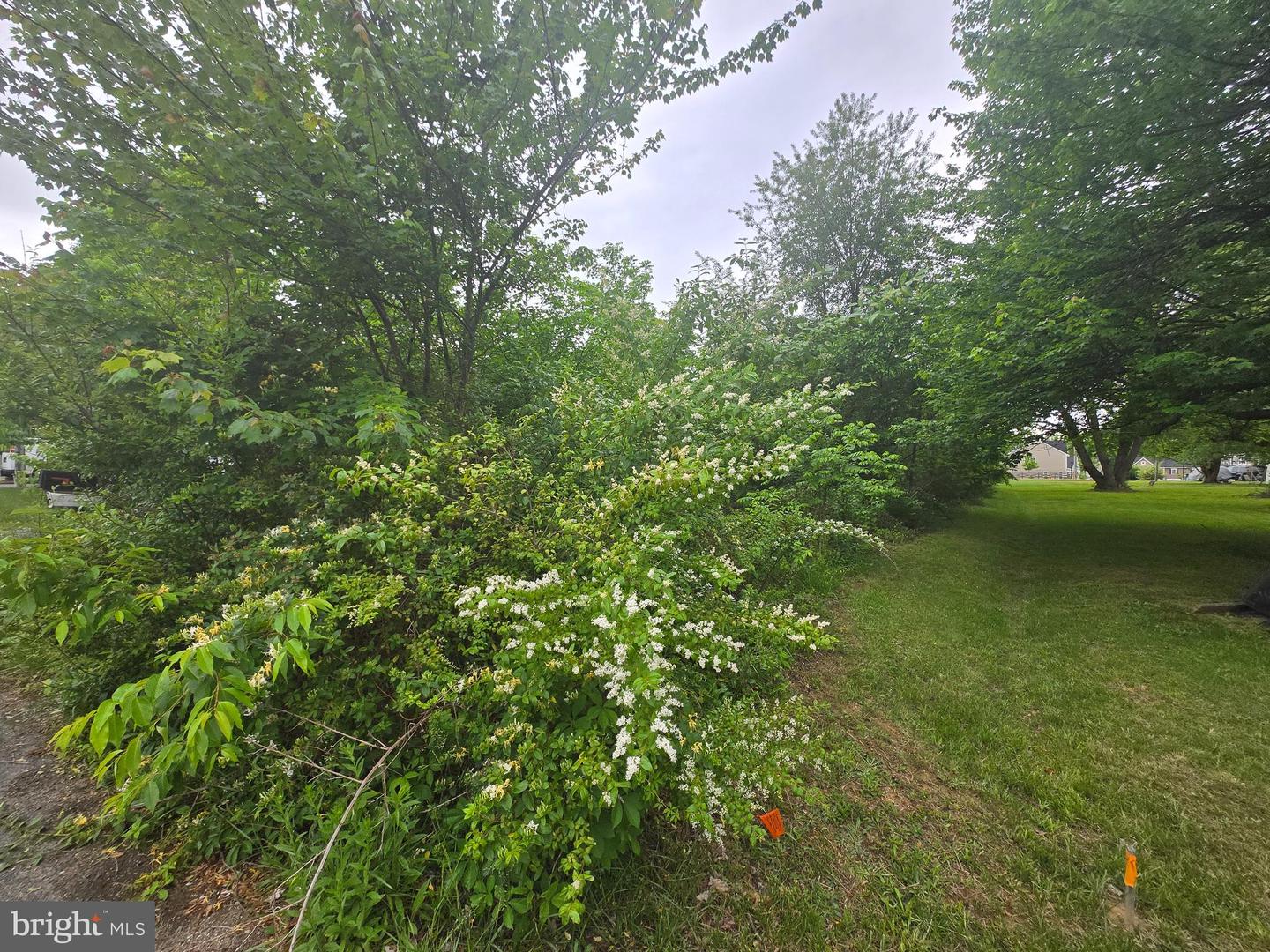 5717 LUCAS ST, FREDERICKSBURG, Virginia 22407, ,Land,For sale,5717 LUCAS ST,VASP2033002 MLS # VASP2033002