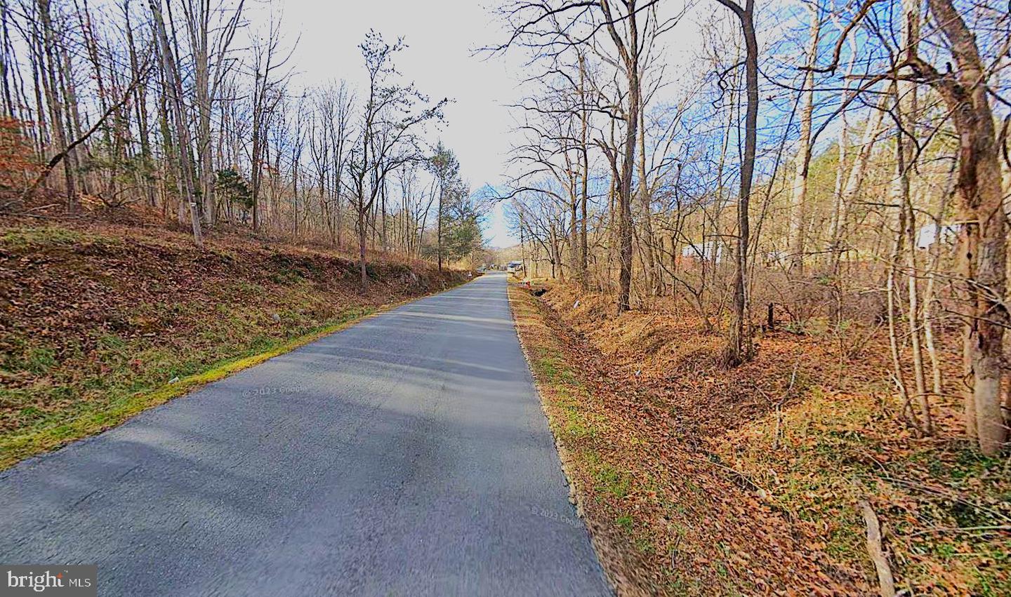 00 FORGE RD, GLASGOW, Virginia 24555, ,Land,For sale,00 FORGE RD,VARB2000110 MLS # VARB2000110