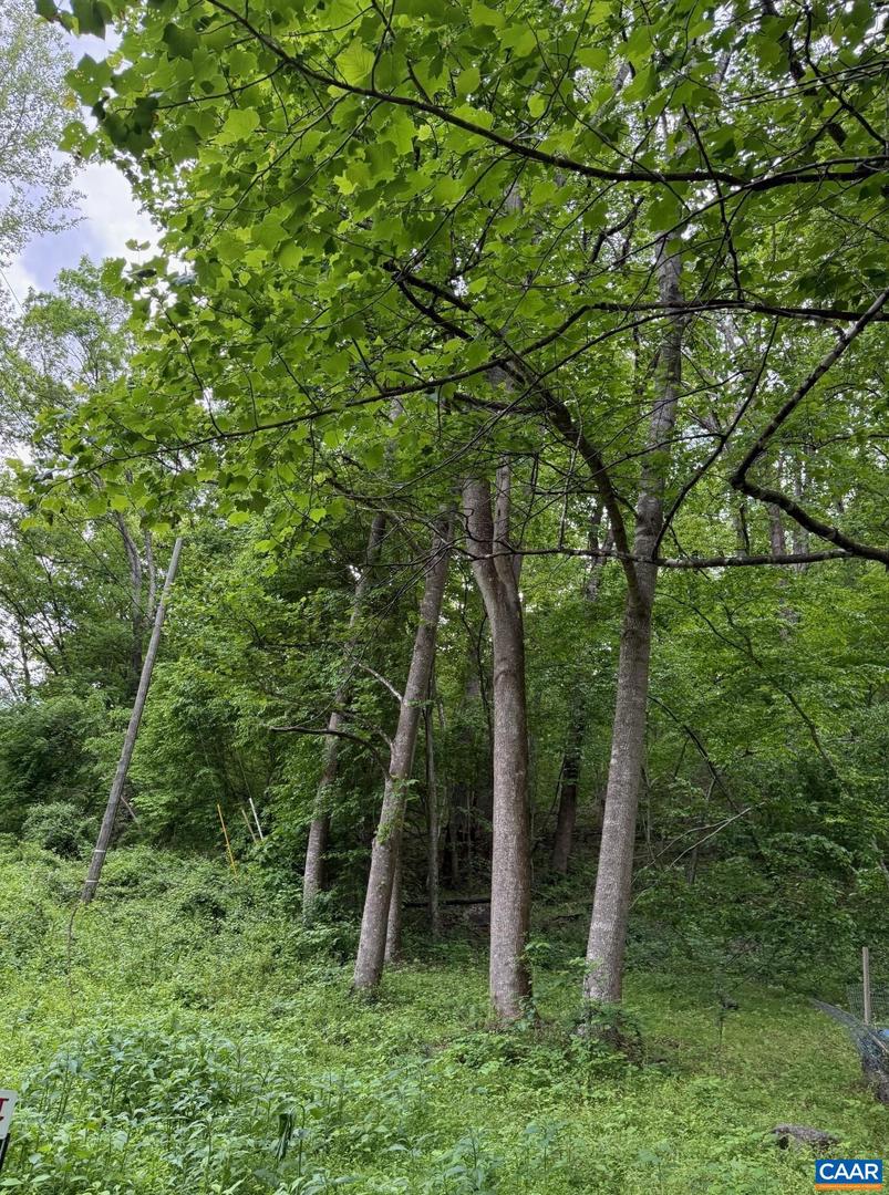 LONG POINT LN, MADISON, Virginia 22727, ,Land,For sale,LONG POINT LN,664386 MLS # 664386