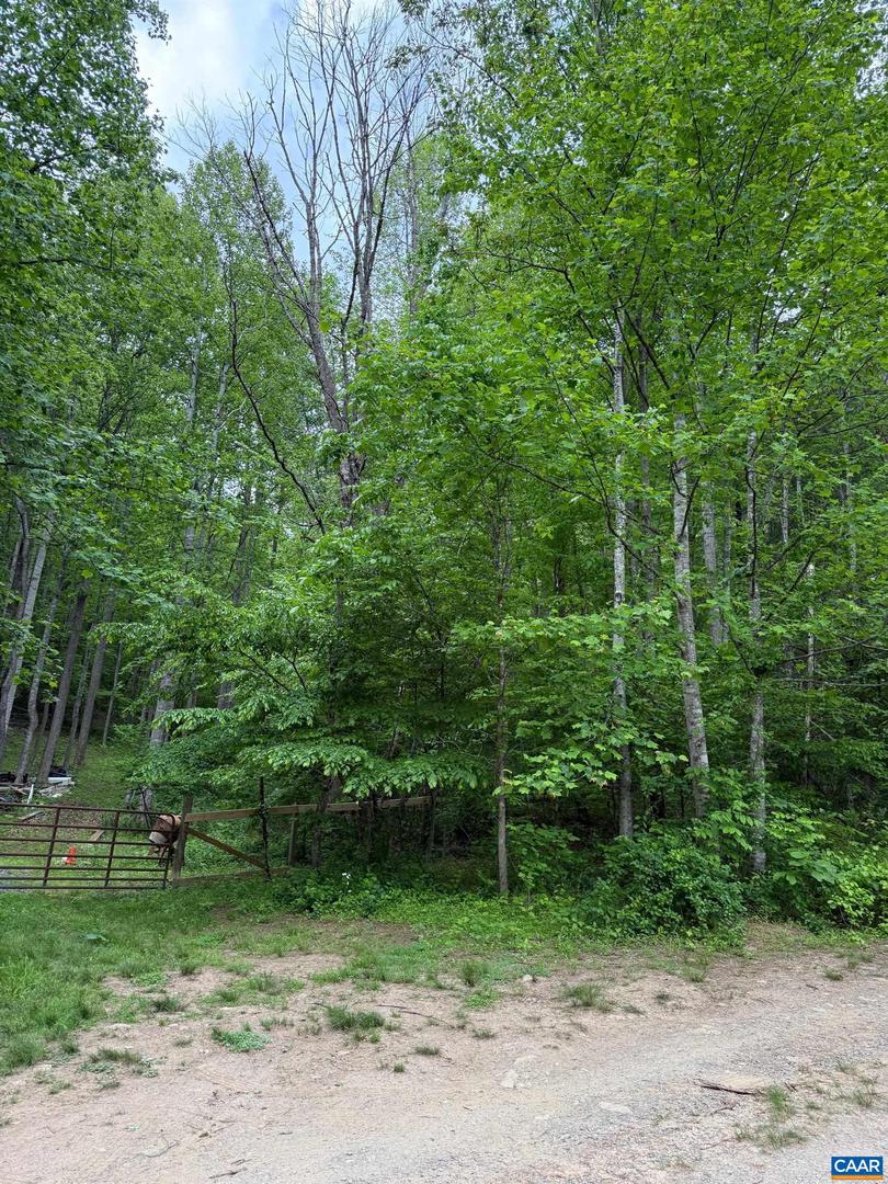 LONG POINT LN, MADISON, Virginia 22727, ,Land,For sale,LONG POINT LN,664386 MLS # 664386
