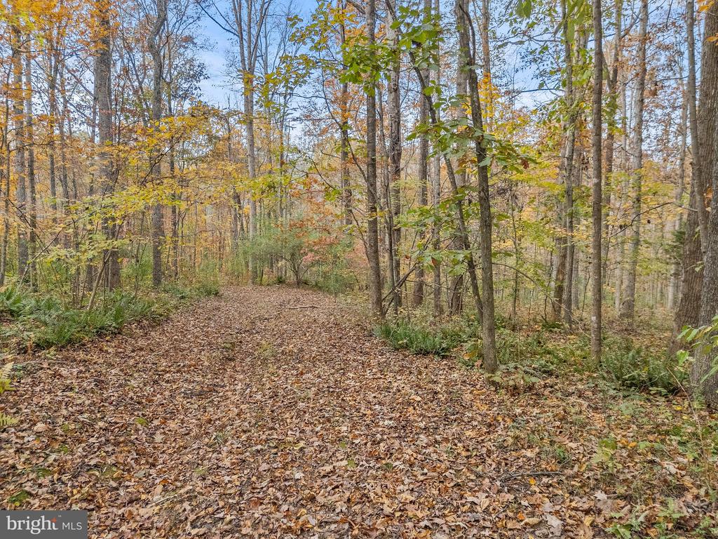 4162 PINEWOOD LN, JEFFERSONTON, Virginia 22724, 5 Bedrooms Bedrooms, ,4 BathroomsBathrooms,Residential,4162 PINEWOOD LN,VACU2010550 MLS # VACU2010550