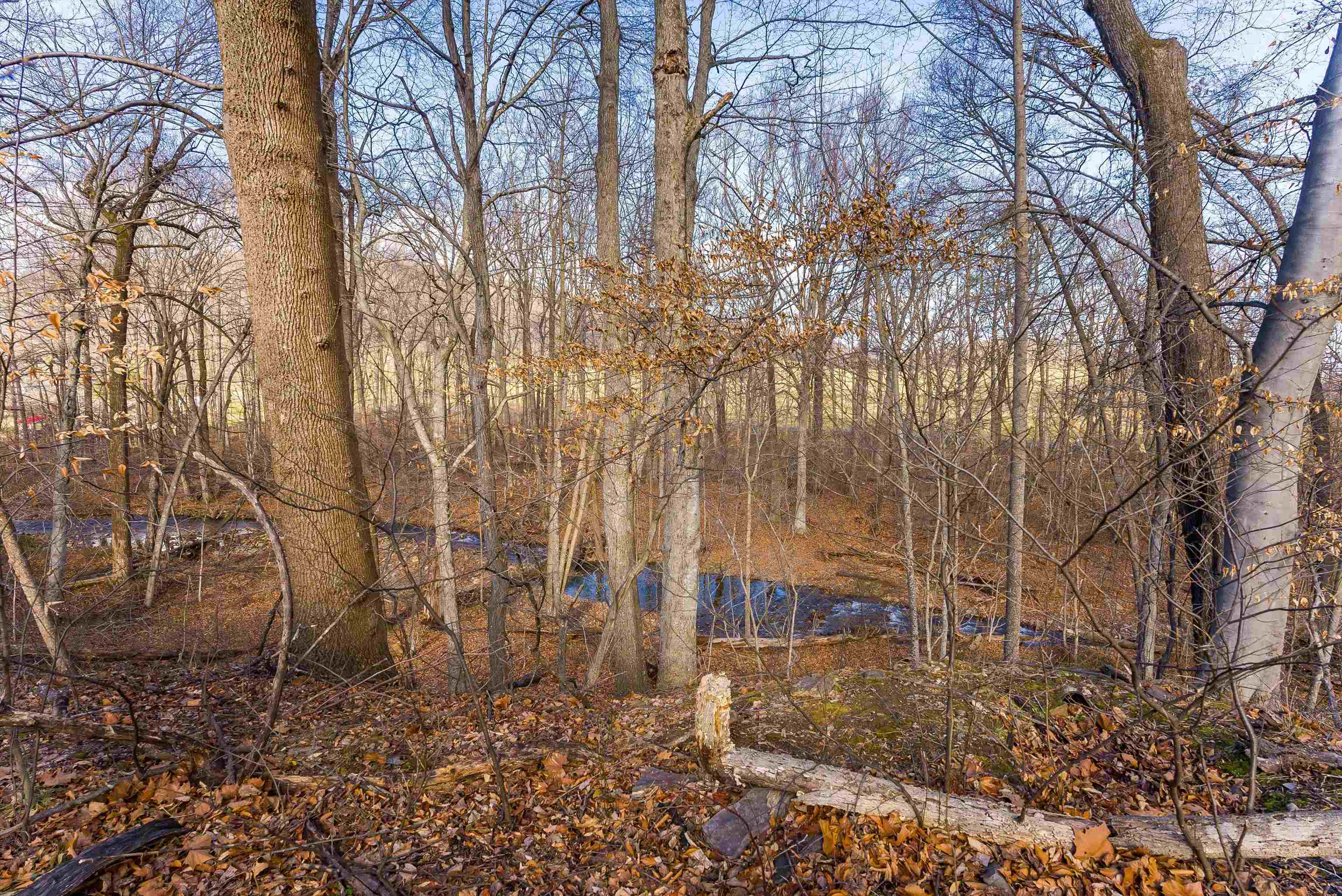 2219 HEWITT RD, SWOOPE, Virginia 24479, 3 Bedrooms Bedrooms, ,1 BathroomBathrooms,Residential,2219 HEWITT RD,659797 MLS # 659797