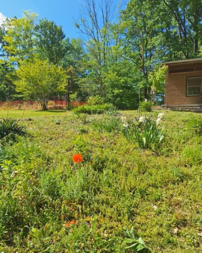 2219 HEWITT RD, SWOOPE, Virginia 24479, 3 Bedrooms Bedrooms, ,1 BathroomBathrooms,Residential,2219 HEWITT RD,659797 MLS # 659797