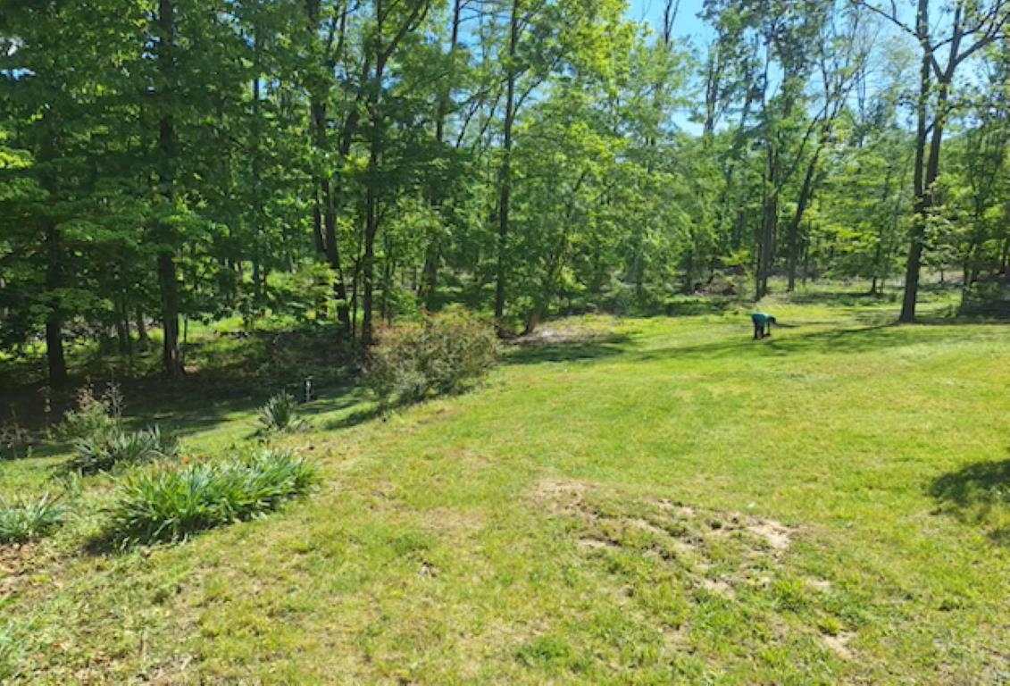 2219 HEWITT RD, SWOOPE, Virginia 24479, 3 Bedrooms Bedrooms, ,1 BathroomBathrooms,Residential,2219 HEWITT RD,659797 MLS # 659797