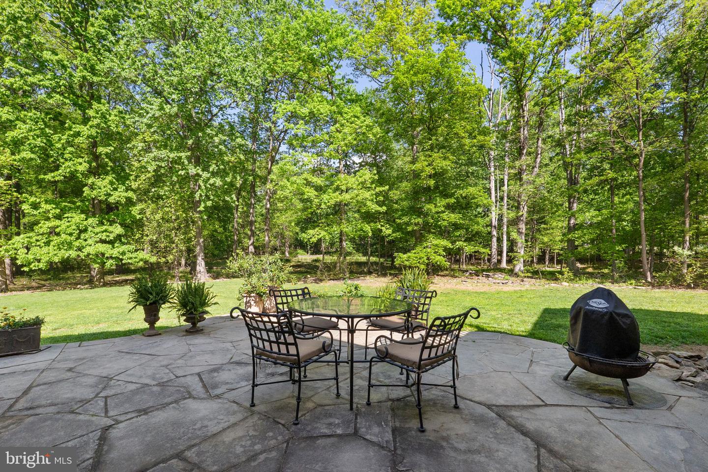 19935 FOGGY BOTTOM RD, BLUEMONT, Virginia 20135, 4 Bedrooms Bedrooms, ,3 BathroomsBathrooms,Residential,For sale,19935 FOGGY BOTTOM RD,VALO2094640 MLS # VALO2094640