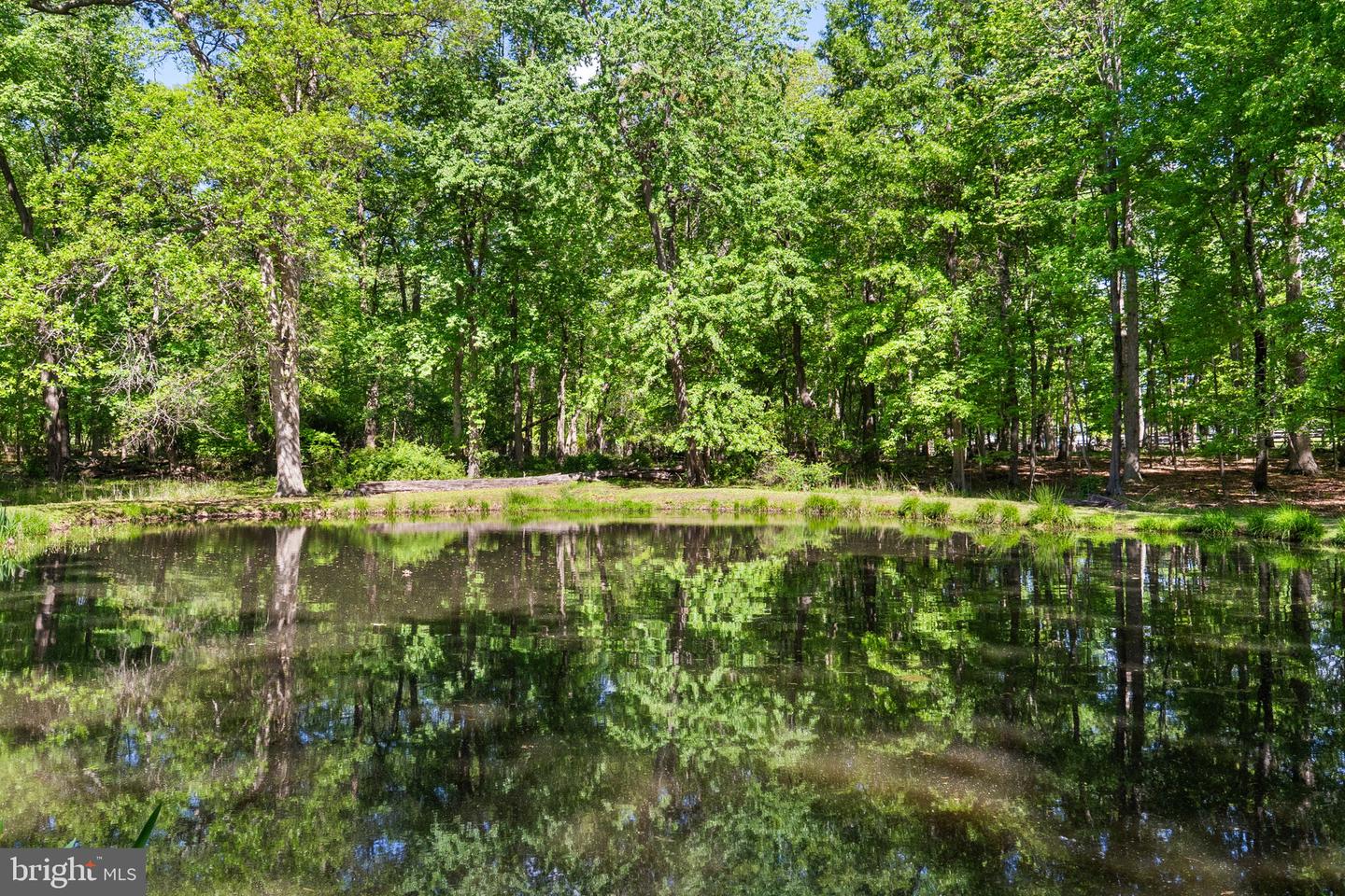 19935 FOGGY BOTTOM RD, BLUEMONT, Virginia 20135, 4 Bedrooms Bedrooms, ,3 BathroomsBathrooms,Residential,For sale,19935 FOGGY BOTTOM RD,VALO2094640 MLS # VALO2094640