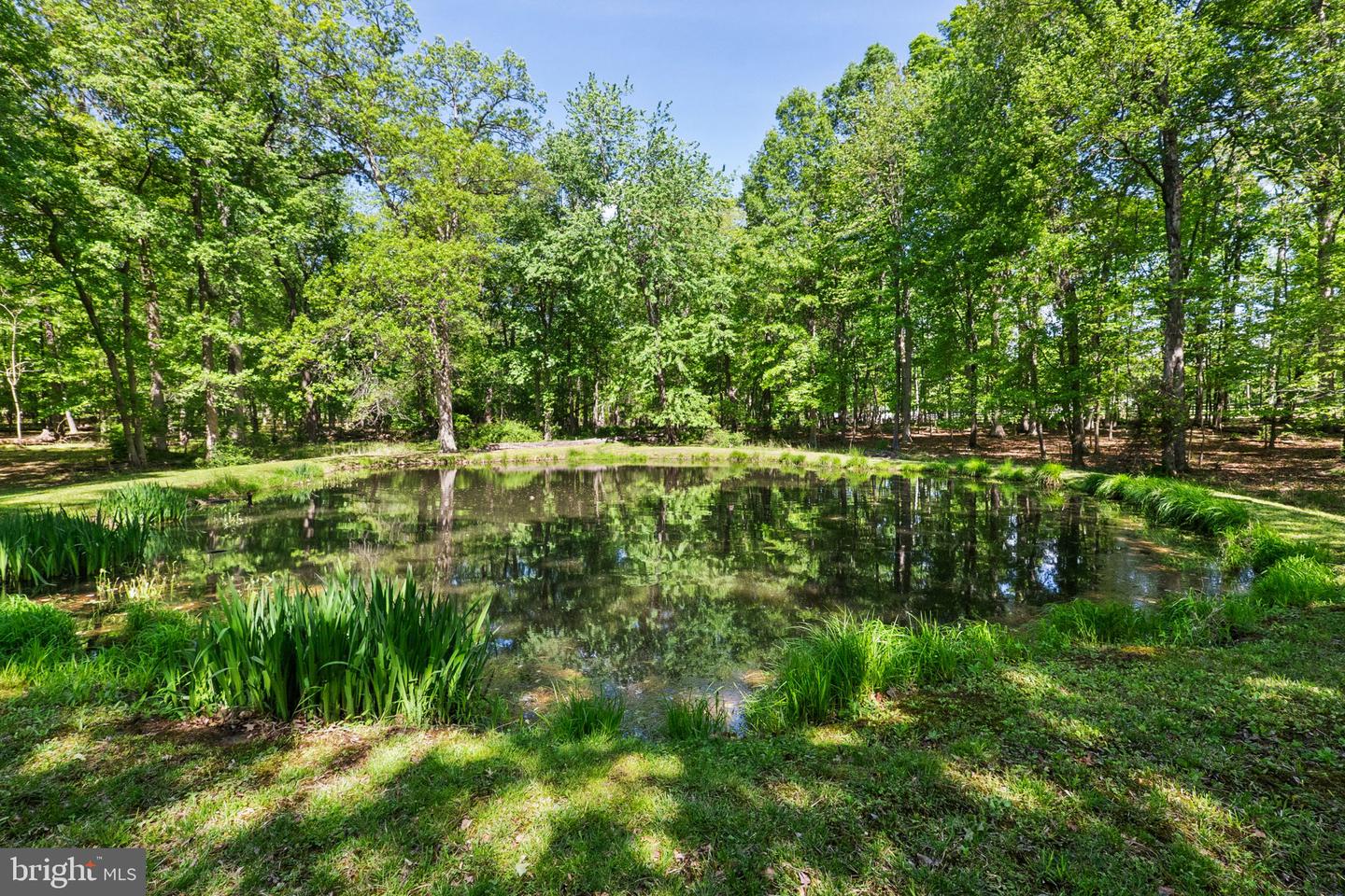 19935 FOGGY BOTTOM RD, BLUEMONT, Virginia 20135, 4 Bedrooms Bedrooms, ,3 BathroomsBathrooms,Residential,For sale,19935 FOGGY BOTTOM RD,VALO2094640 MLS # VALO2094640