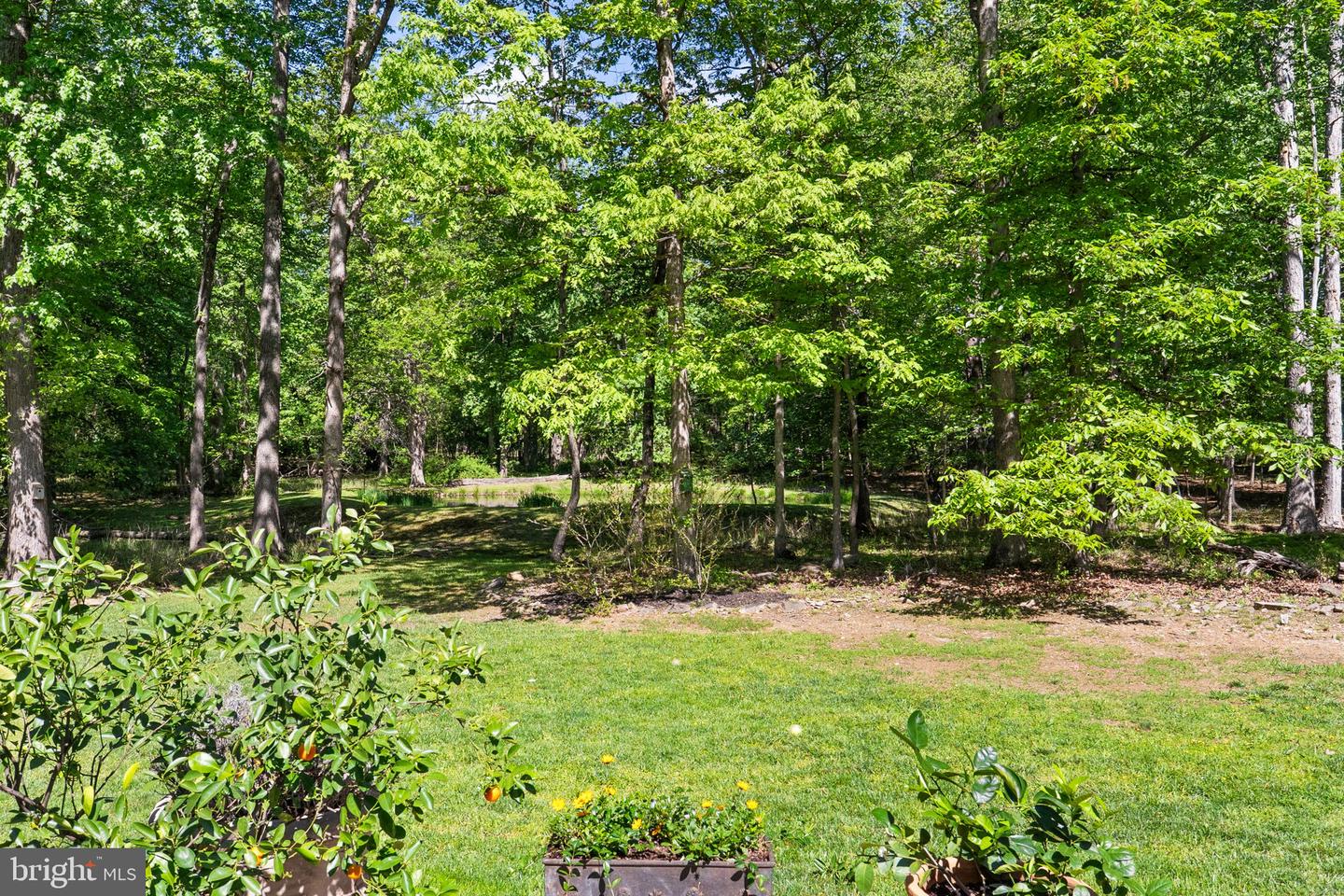 19935 FOGGY BOTTOM RD, BLUEMONT, Virginia 20135, 4 Bedrooms Bedrooms, ,3 BathroomsBathrooms,Residential,For sale,19935 FOGGY BOTTOM RD,VALO2094640 MLS # VALO2094640