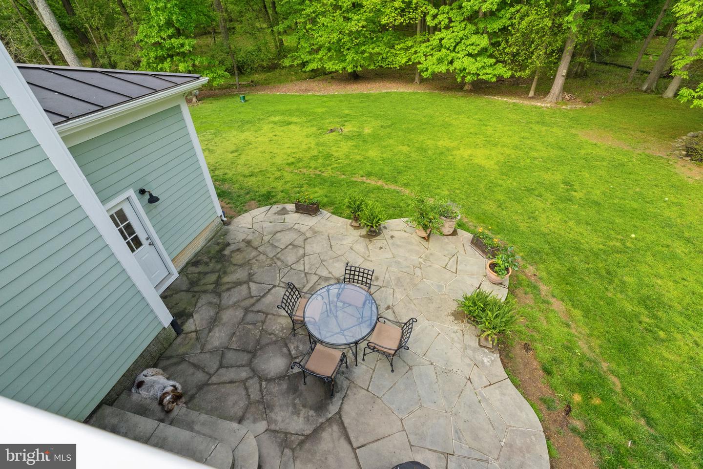 19935 FOGGY BOTTOM RD, BLUEMONT, Virginia 20135, 4 Bedrooms Bedrooms, ,3 BathroomsBathrooms,Residential,For sale,19935 FOGGY BOTTOM RD,VALO2094640 MLS # VALO2094640
