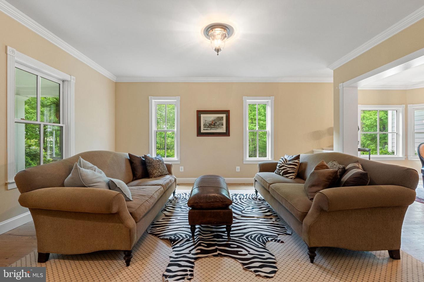 19935 FOGGY BOTTOM RD, BLUEMONT, Virginia 20135, 4 Bedrooms Bedrooms, ,3 BathroomsBathrooms,Residential,For sale,19935 FOGGY BOTTOM RD,VALO2094640 MLS # VALO2094640
