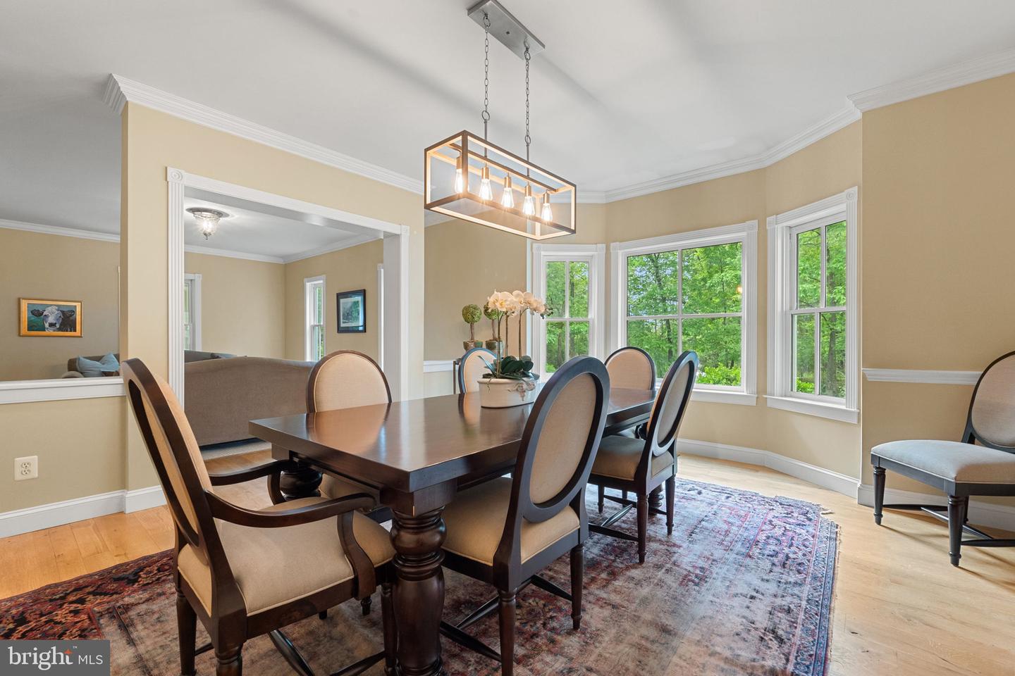 19935 FOGGY BOTTOM RD, BLUEMONT, Virginia 20135, 4 Bedrooms Bedrooms, ,3 BathroomsBathrooms,Residential,For sale,19935 FOGGY BOTTOM RD,VALO2094640 MLS # VALO2094640