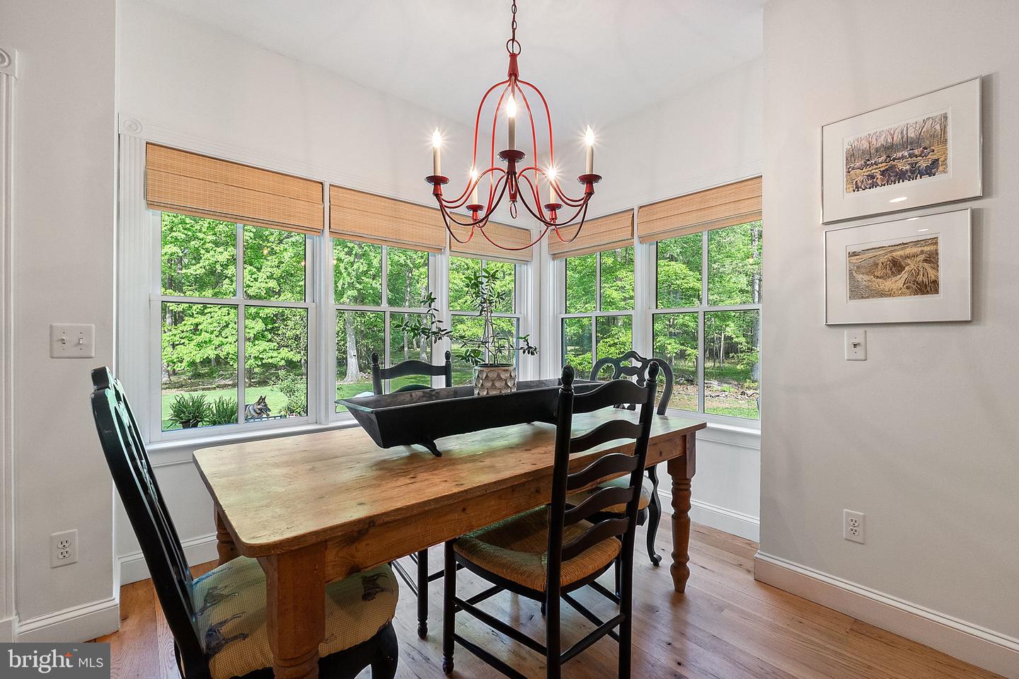 19935 FOGGY BOTTOM RD, BLUEMONT, Virginia 20135, 4 Bedrooms Bedrooms, ,3 BathroomsBathrooms,Residential,For sale,19935 FOGGY BOTTOM RD,VALO2094640 MLS # VALO2094640