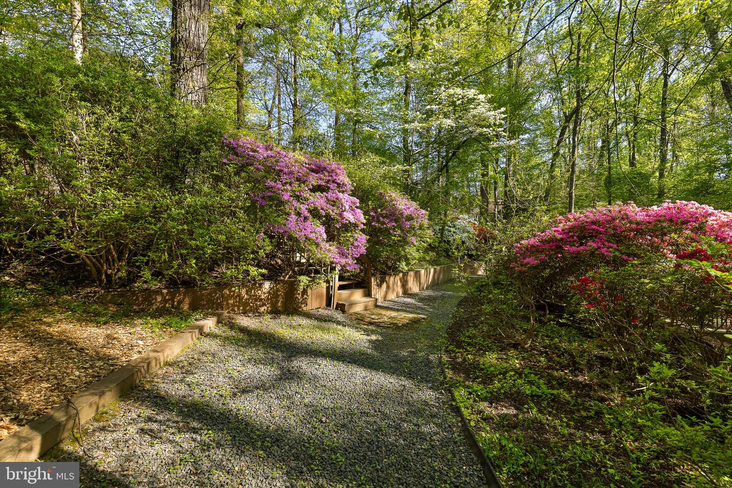 3440 MANSFIELD RD, FALLS CHURCH, Virginia 22041, 3 Bedrooms Bedrooms, ,3 BathroomsBathrooms,Residential,For sale,3440 MANSFIELD RD,VAFX2236264 MLS # VAFX2236264
