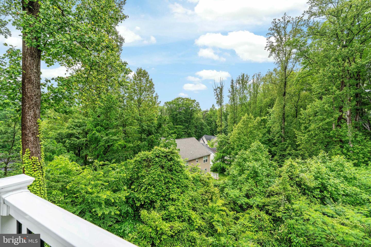 1196 HOLLY ST, FREDERICKSBURG, Virginia 22405, 3 Bedrooms Bedrooms, ,2 BathroomsBathrooms,Residential,For sale,1196 HOLLY ST,VAST2038204 MLS # VAST2038204