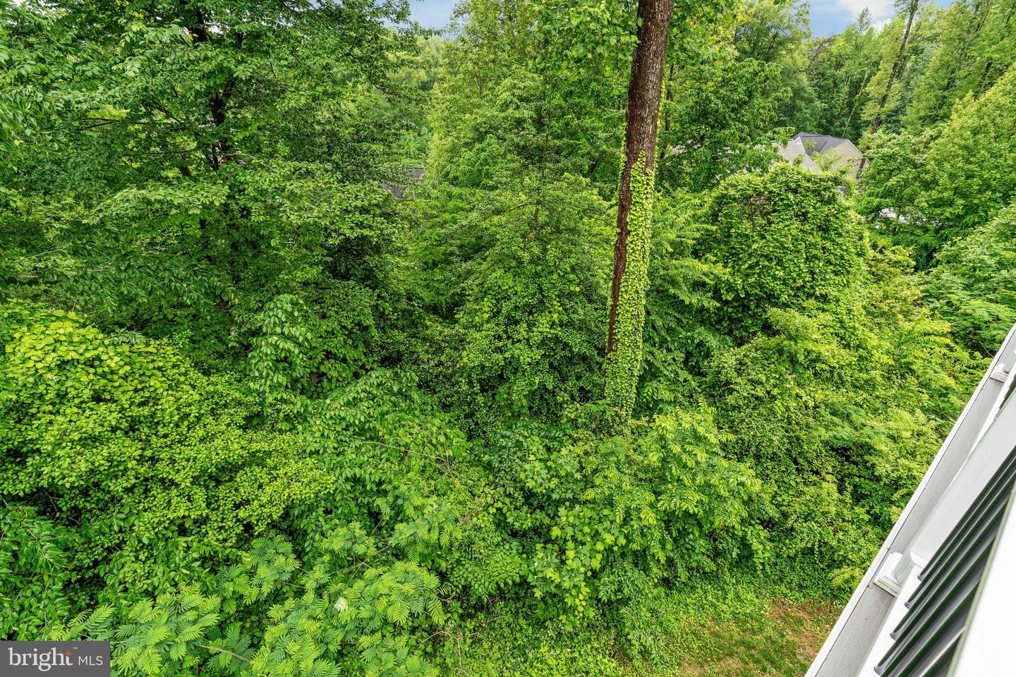 1196 HOLLY ST, FREDERICKSBURG, Virginia 22405, 3 Bedrooms Bedrooms, ,2 BathroomsBathrooms,Residential,For sale,1196 HOLLY ST,VAST2038204 MLS # VAST2038204
