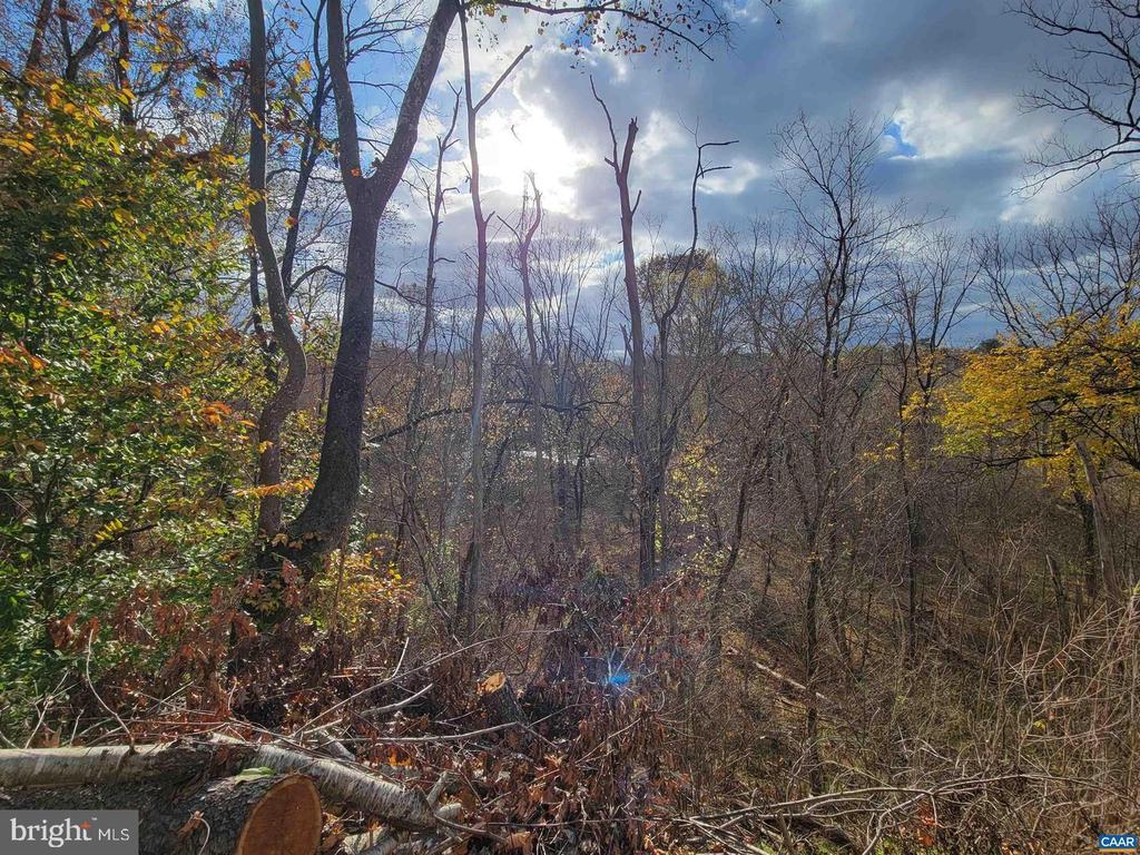 13298 JAMES MADISON HWY, PALMYRA, Virginia 22963, 4 Bedrooms Bedrooms, ,3 BathroomsBathrooms,Residential,13298 JAMES MADISON HWY,VAFN2000470 MLS # VAFN2000470