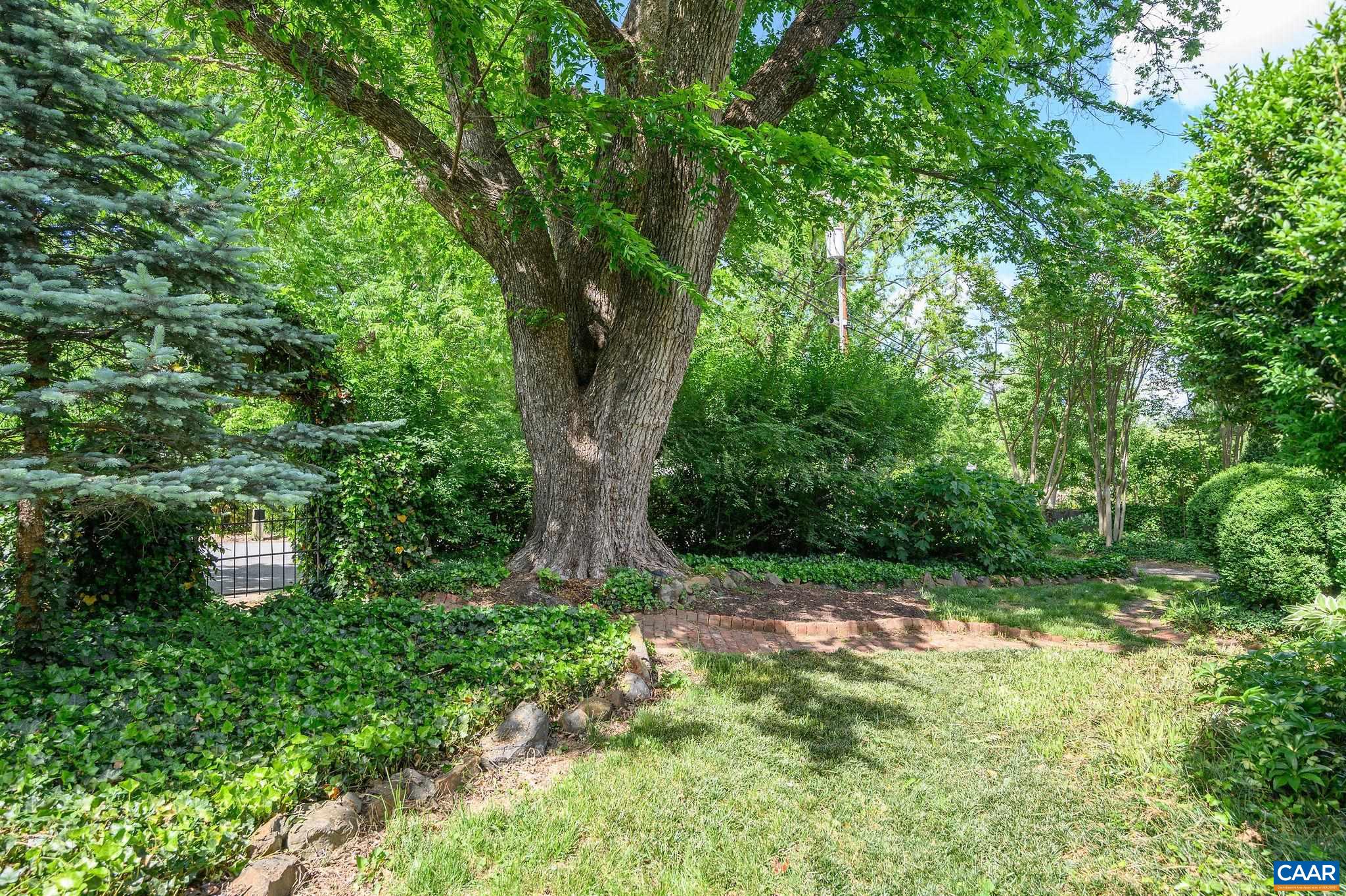 804 RUGBY RD, CHARLOTTESVILLE, Virginia 22903, 4 Bedrooms Bedrooms, ,3 BathroomsBathrooms,Residential,804 RUGBY RD,664306 MLS # 664306
