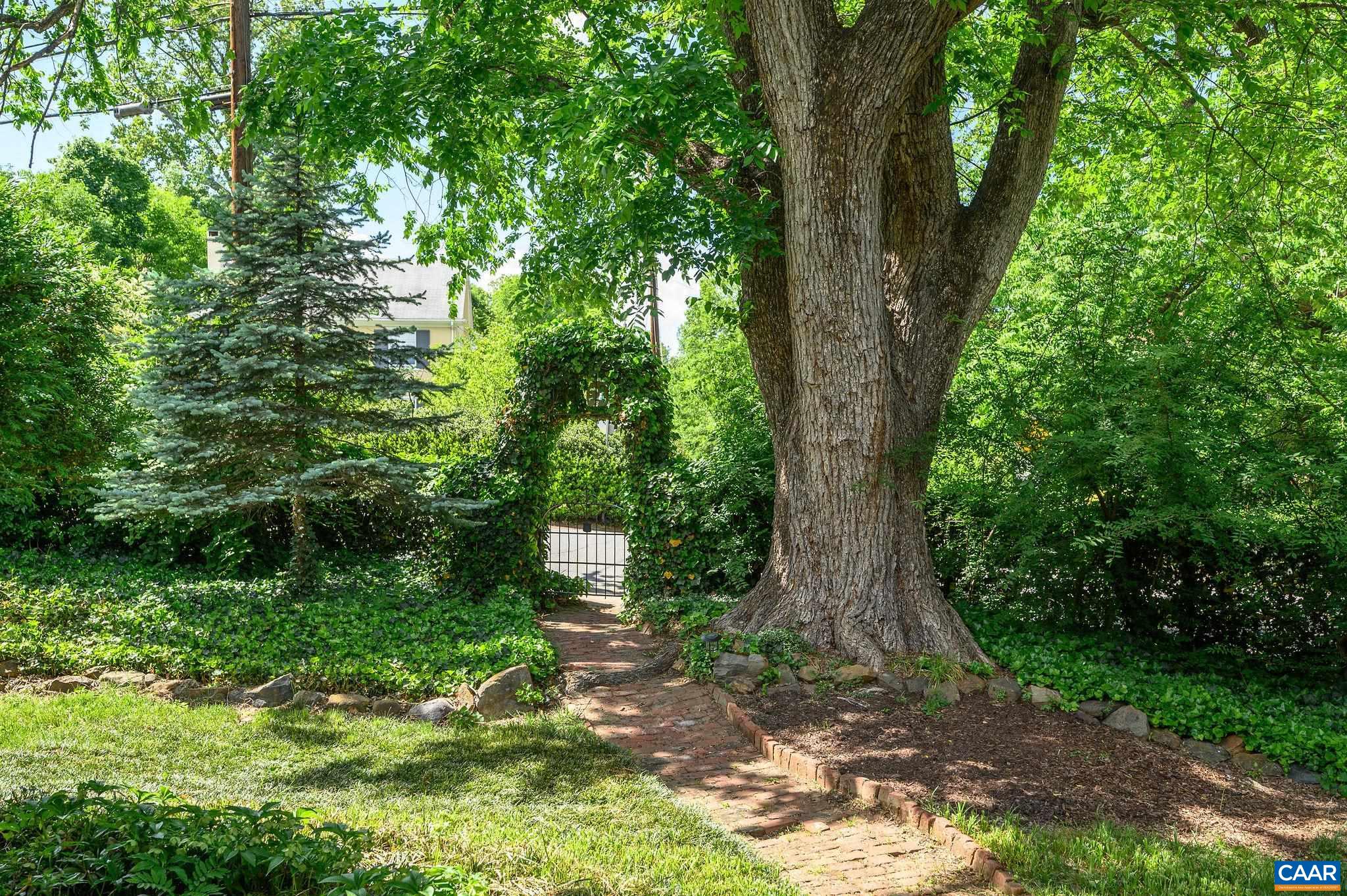 804 RUGBY RD, CHARLOTTESVILLE, Virginia 22903, 4 Bedrooms Bedrooms, ,3 BathroomsBathrooms,Residential,804 RUGBY RD,664306 MLS # 664306