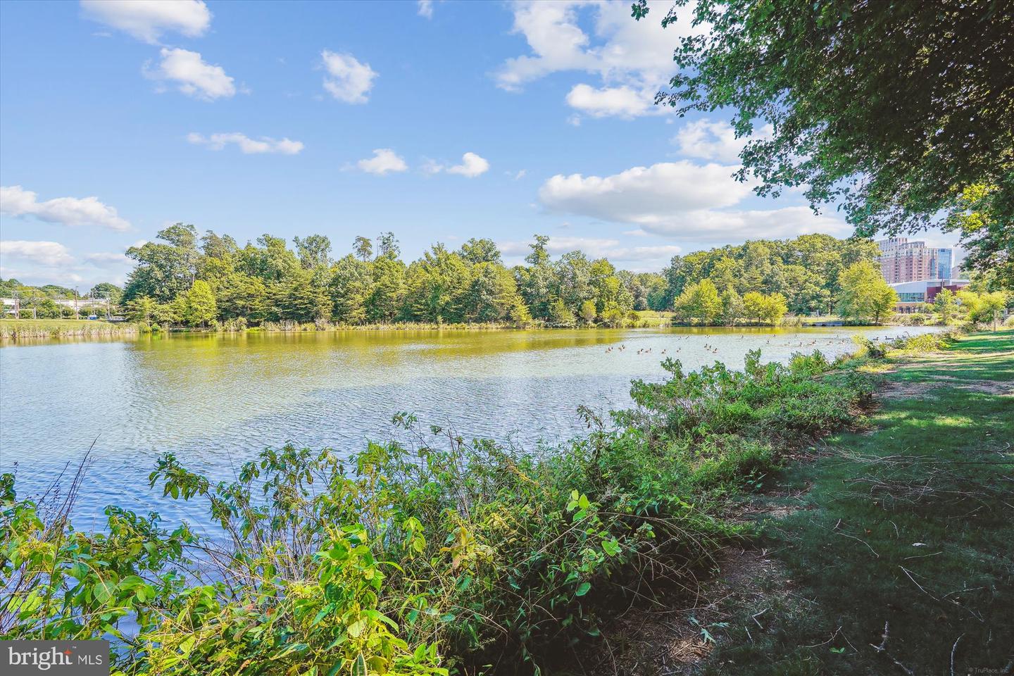 1704 LAKE SHORE CREST DR #32, RESTON, Virginia 20190, 2 Bedrooms Bedrooms, ,1 BathroomBathrooms,Residential,For sale,1704 LAKE SHORE CREST DR #32,VAFX2237796 MLS # VAFX2237796