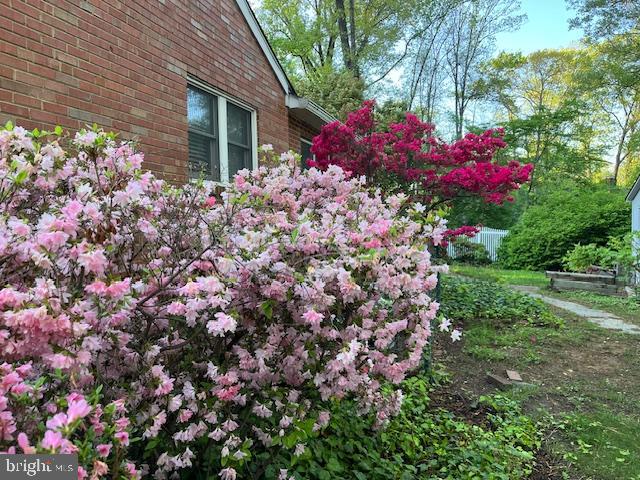 8212 WOODLAND AVE, ANNANDALE, Virginia 22003, 4 Bedrooms Bedrooms, ,3 BathroomsBathrooms,Residential,For sale,8212 WOODLAND AVE,VAFX2238322 MLS # VAFX2238322