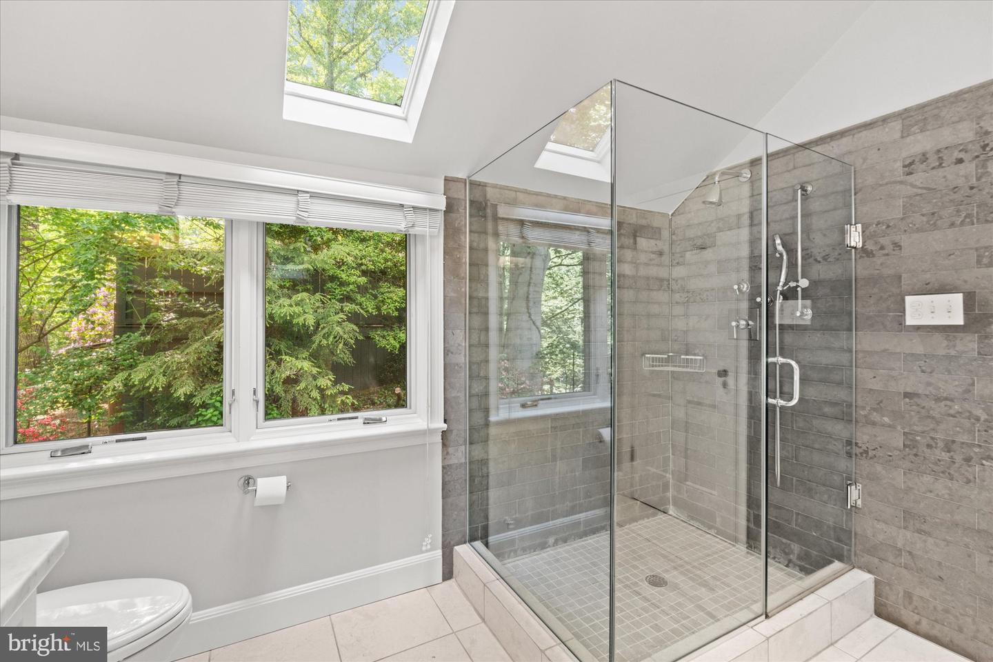 2871 AUDUBON TER NW, WASHINGTON, District Of Columbia 20008, 5 Bedrooms Bedrooms, ,4 BathroomsBathrooms,Residential,For sale,2871 AUDUBON TER NW,DCDC2198766 MLS # DCDC2198766