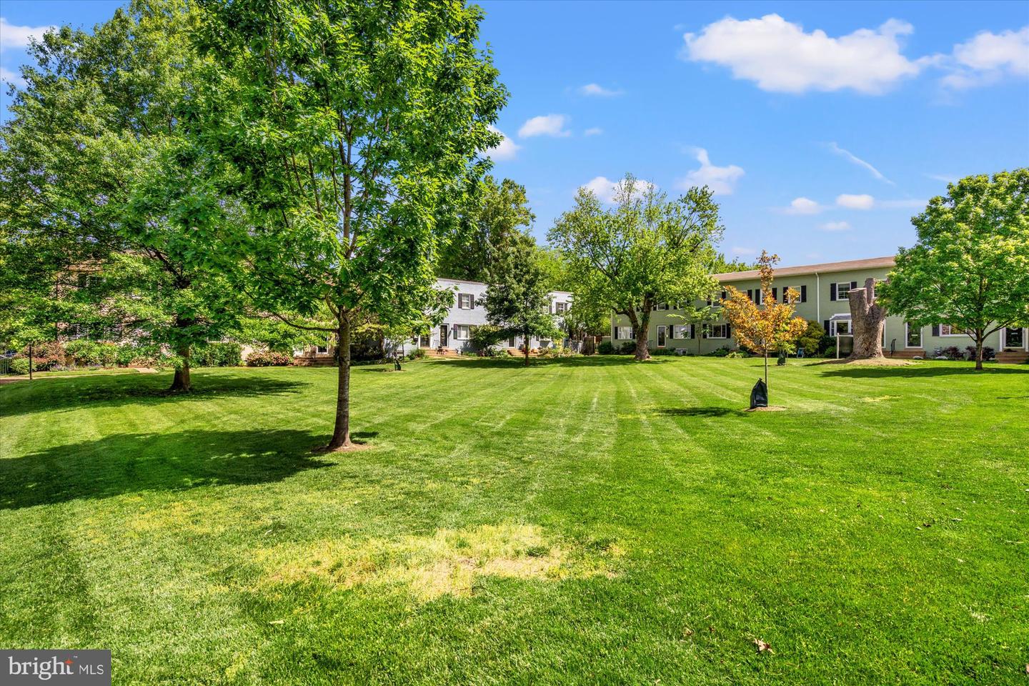 1705 N CLIFF ST, ALEXANDRIA, Virginia 22301, 2 Bedrooms Bedrooms, ,2 BathroomsBathrooms,Residential,For sale,1705 N CLIFF ST,VAAX2044920 MLS # VAAX2044920