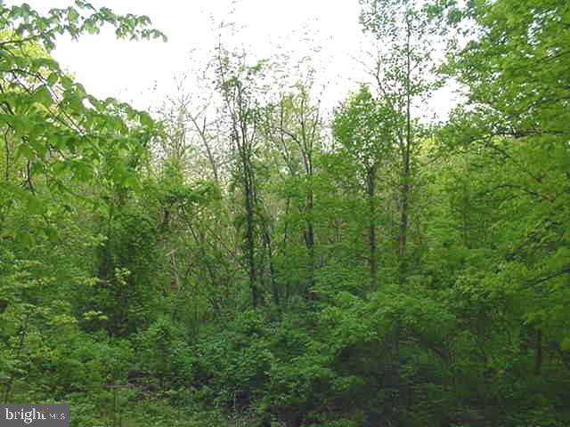 4607 BLUE MOUNTAIN RD, LINDEN, Virginia 22642, 3 Bedrooms Bedrooms, ,2 BathroomsBathrooms,Residential,For sale,4607 BLUE MOUNTAIN RD,VAWR2011100 MLS # VAWR2011100