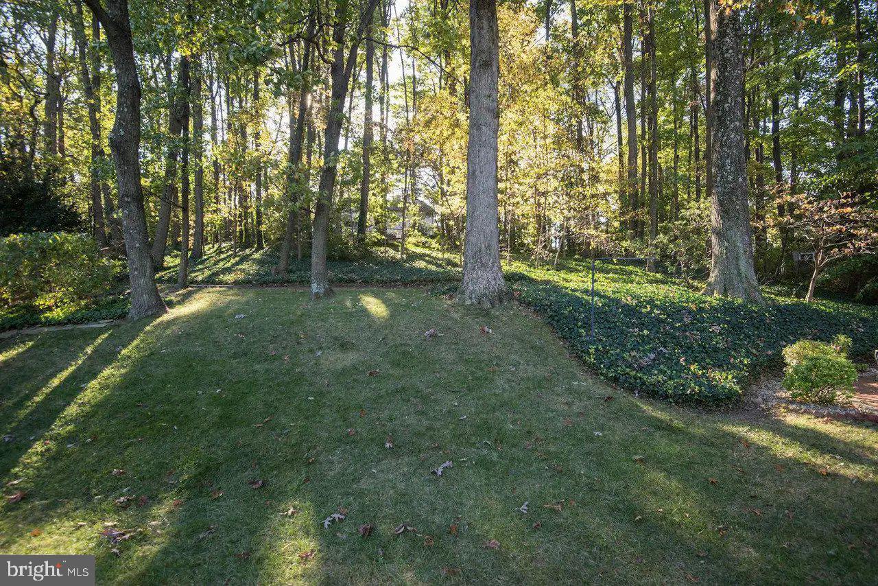 3909 FOREST GROVE DR, ANNANDALE, Virginia 22003, 4 Bedrooms Bedrooms, ,2 BathroomsBathrooms,Residential,For sale,3909 FOREST GROVE DR,VAFX2239246 MLS # VAFX2239246