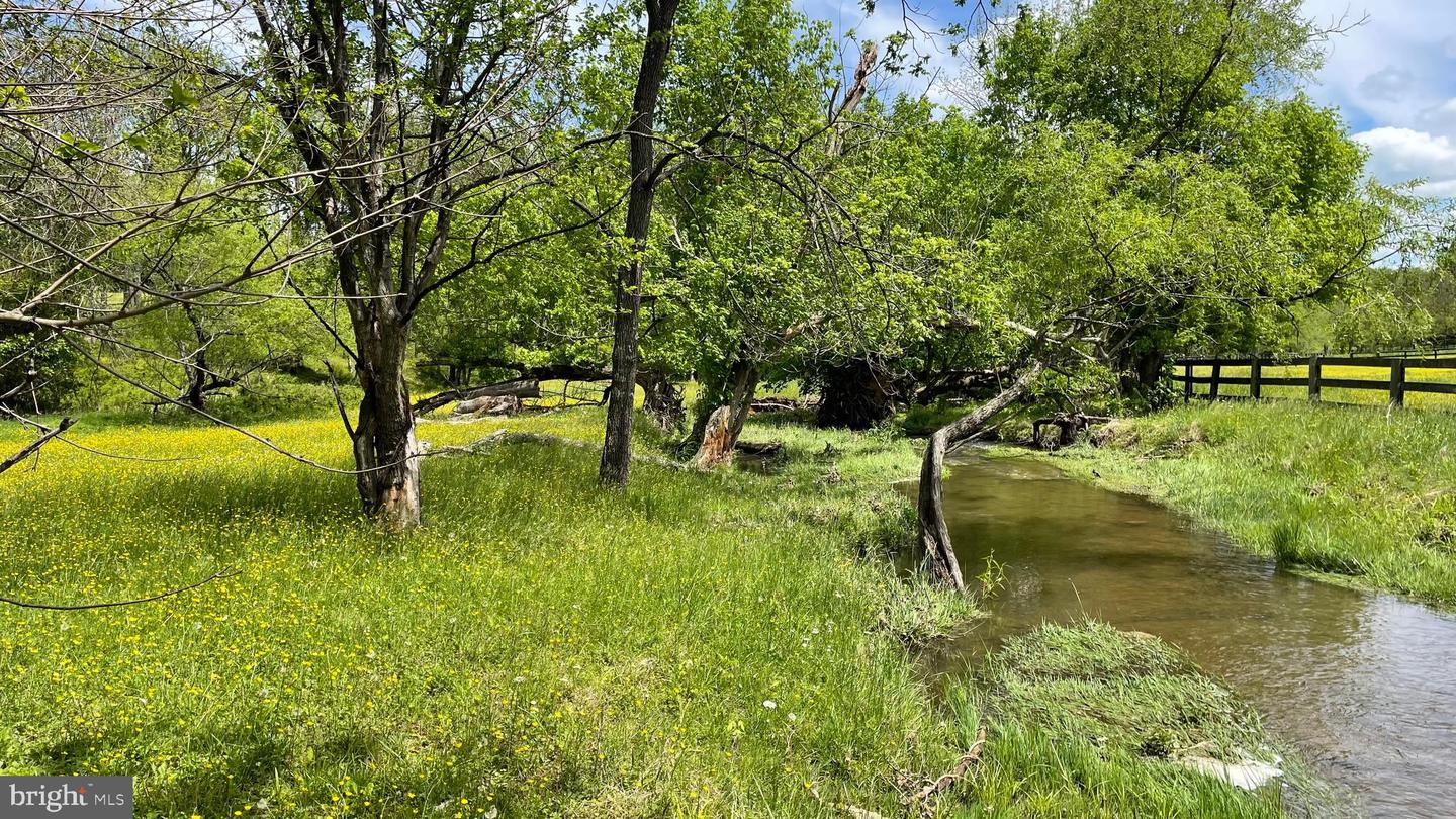 19240 WALSH FARM LN, BLUEMONT, Virginia 20135, 4 Bedrooms Bedrooms, ,2 BathroomsBathrooms,Residential,For sale,19240 WALSH FARM LN,VALO2095834 MLS # VALO2095834