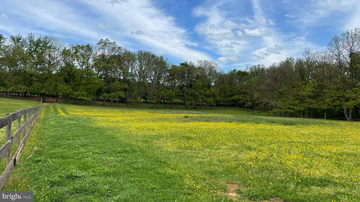 19240 WALSH FARM LN, BLUEMONT, Virginia 20135, 4 Bedrooms Bedrooms, ,2 BathroomsBathrooms,Residential,For sale,19240 WALSH FARM LN,VALO2095834 MLS # VALO2095834