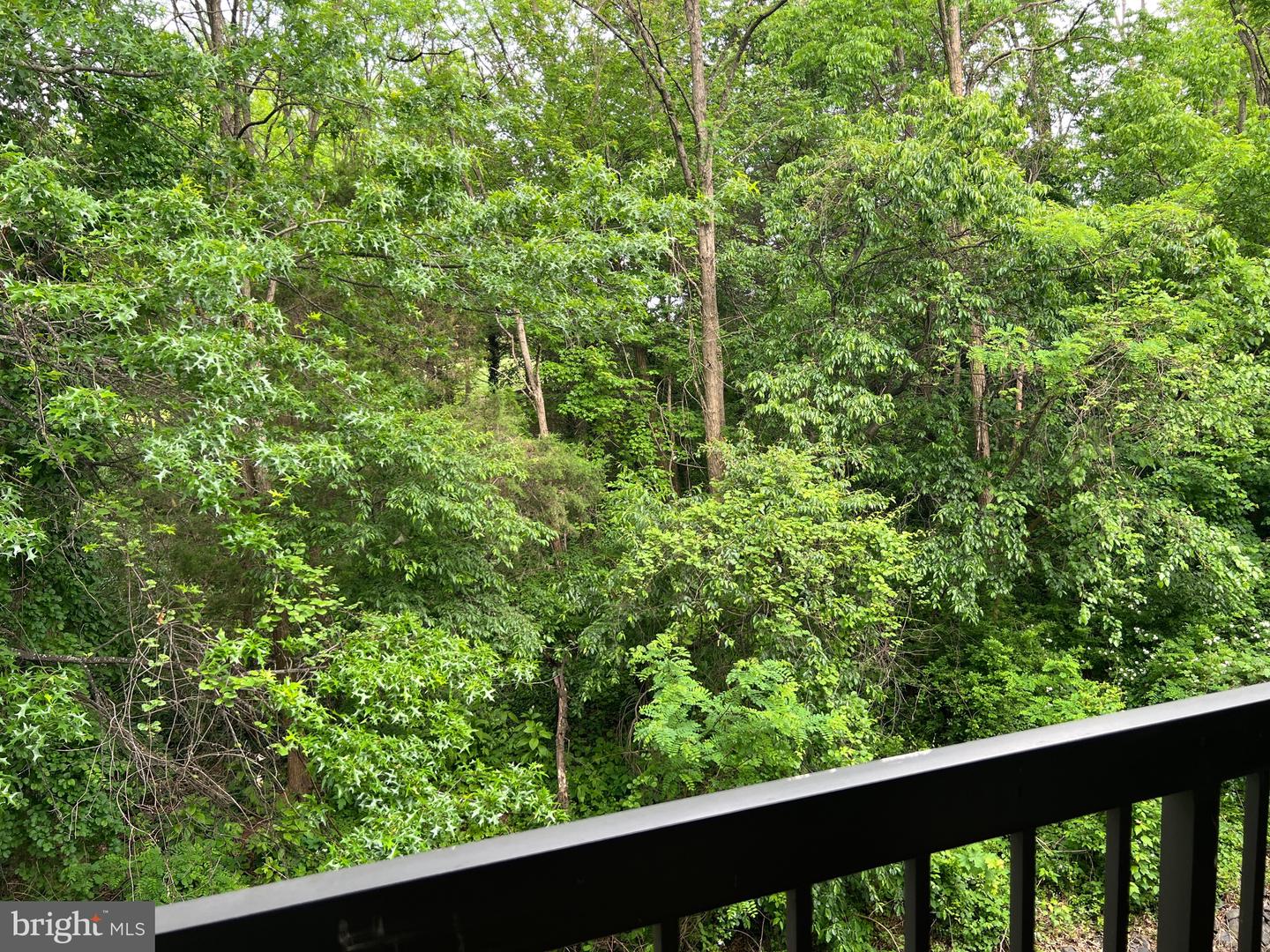 9553 BATTERY HEIGHTS BLVD #303, MANASSAS, Virginia 20110, 1 Bedroom Bedrooms, ,1 BathroomBathrooms,Residential,For sale,9553 BATTERY HEIGHTS BLVD #303,VAMN2008288 MLS # VAMN2008288