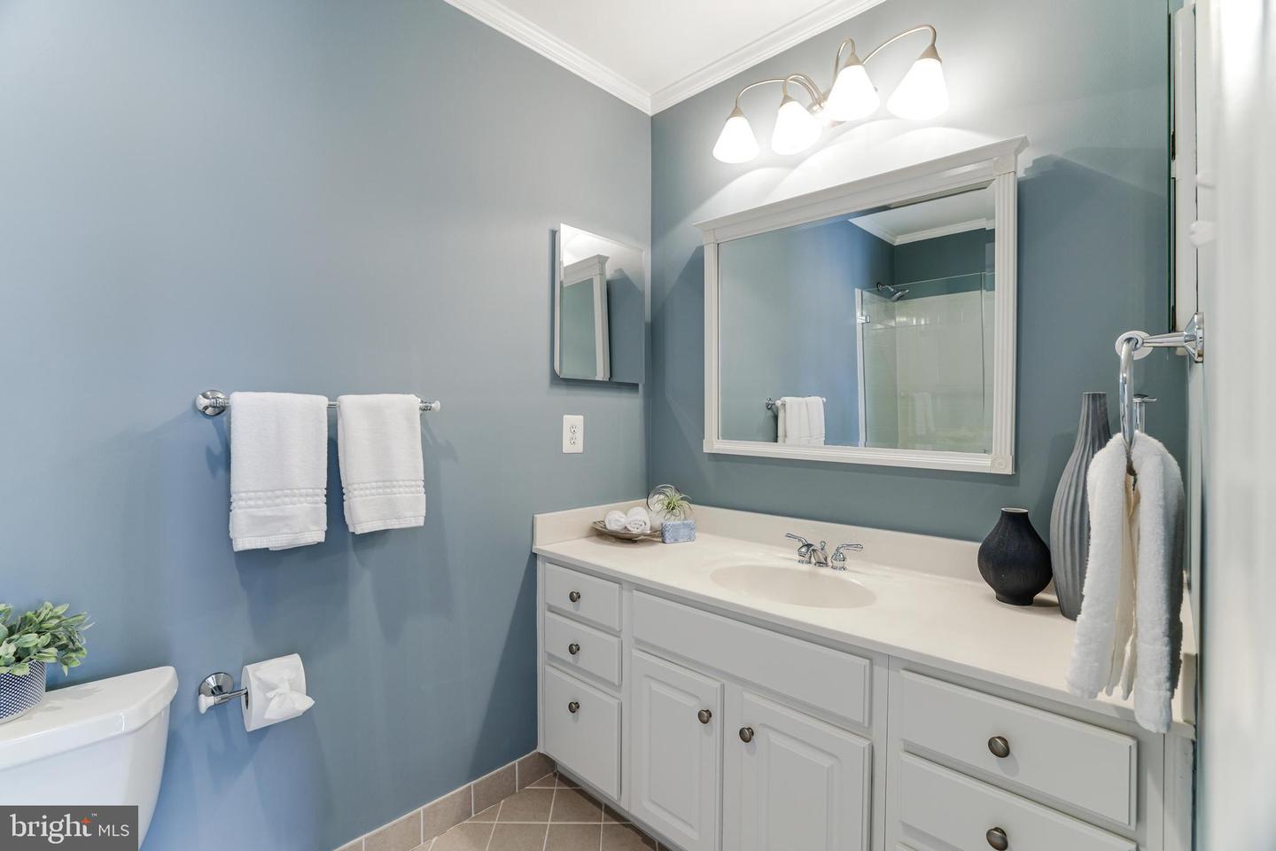 10002 WOODROW ST, VIENNA, Virginia 22181, 5 Bedrooms Bedrooms, ,5 BathroomsBathrooms,Residential,For sale,10002 WOODROW ST,VAFX2221782 MLS # VAFX2221782