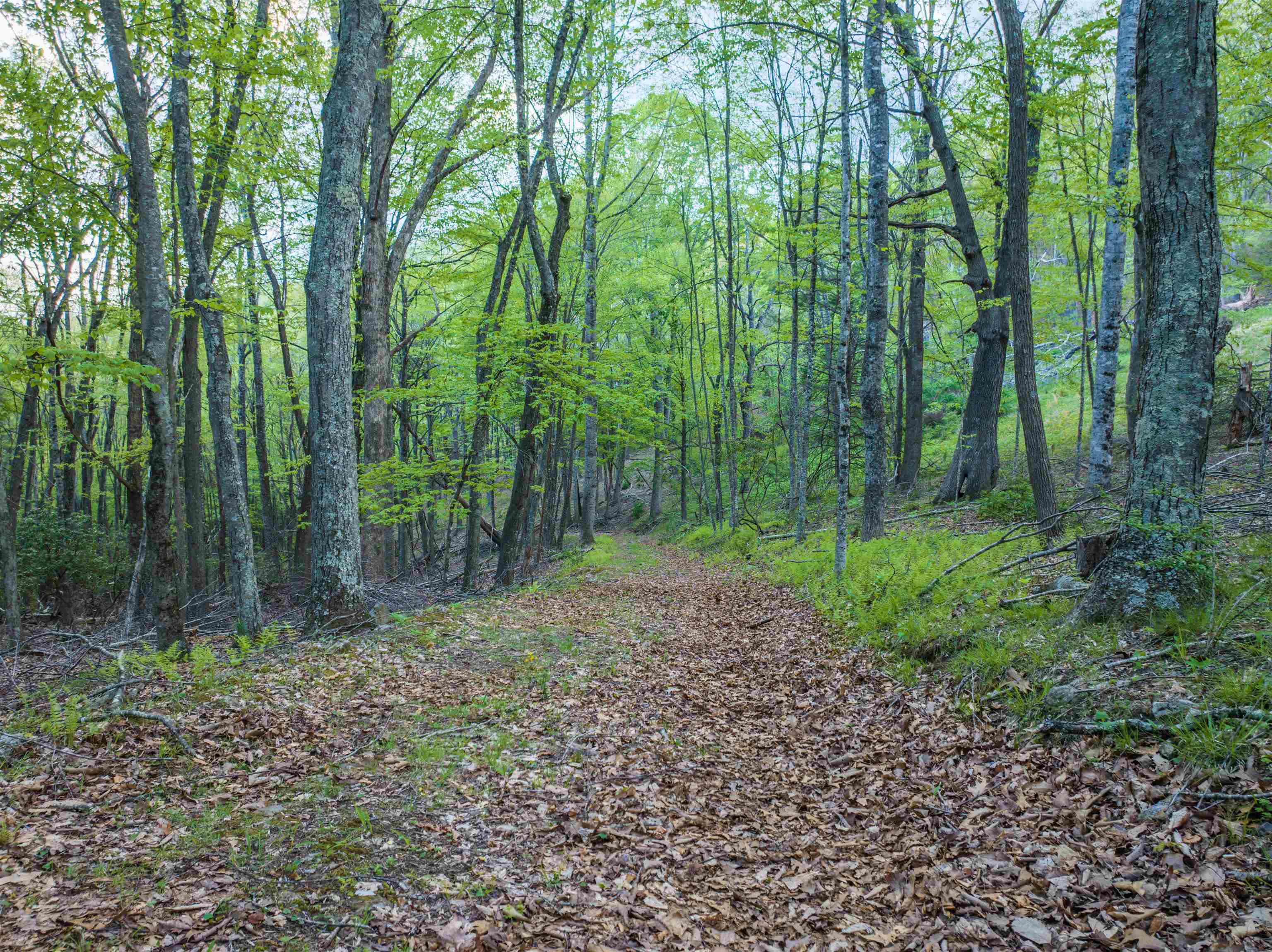 5813 SOUNDING KNOB RD, MCDOWELL, Virginia 24458, ,Farm,5813 SOUNDING KNOB RD,664391 MLS # 664391