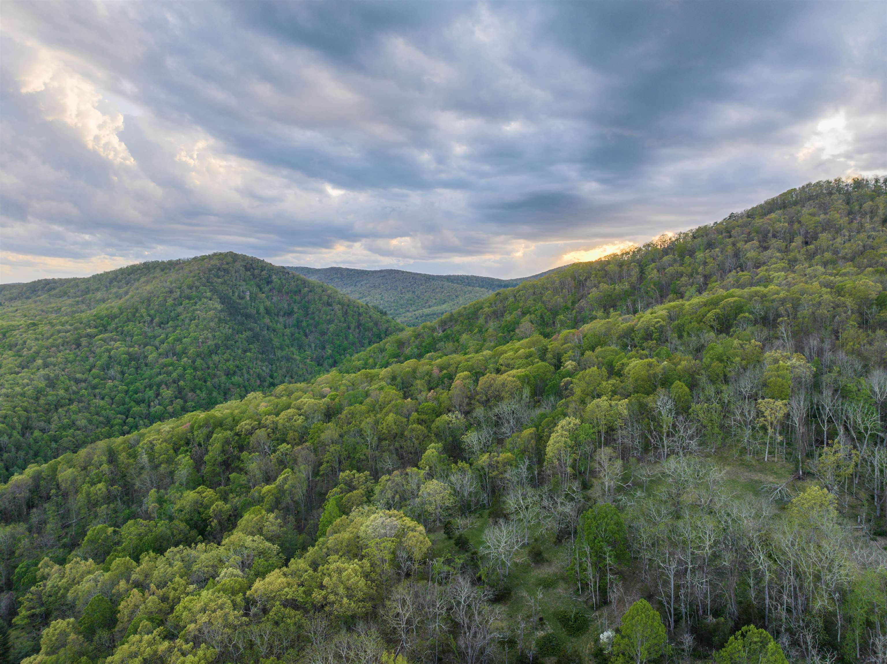 5813 SOUNDING KNOB RD, MCDOWELL, Virginia 24458, ,Farm,5813 SOUNDING KNOB RD,664391 MLS # 664391