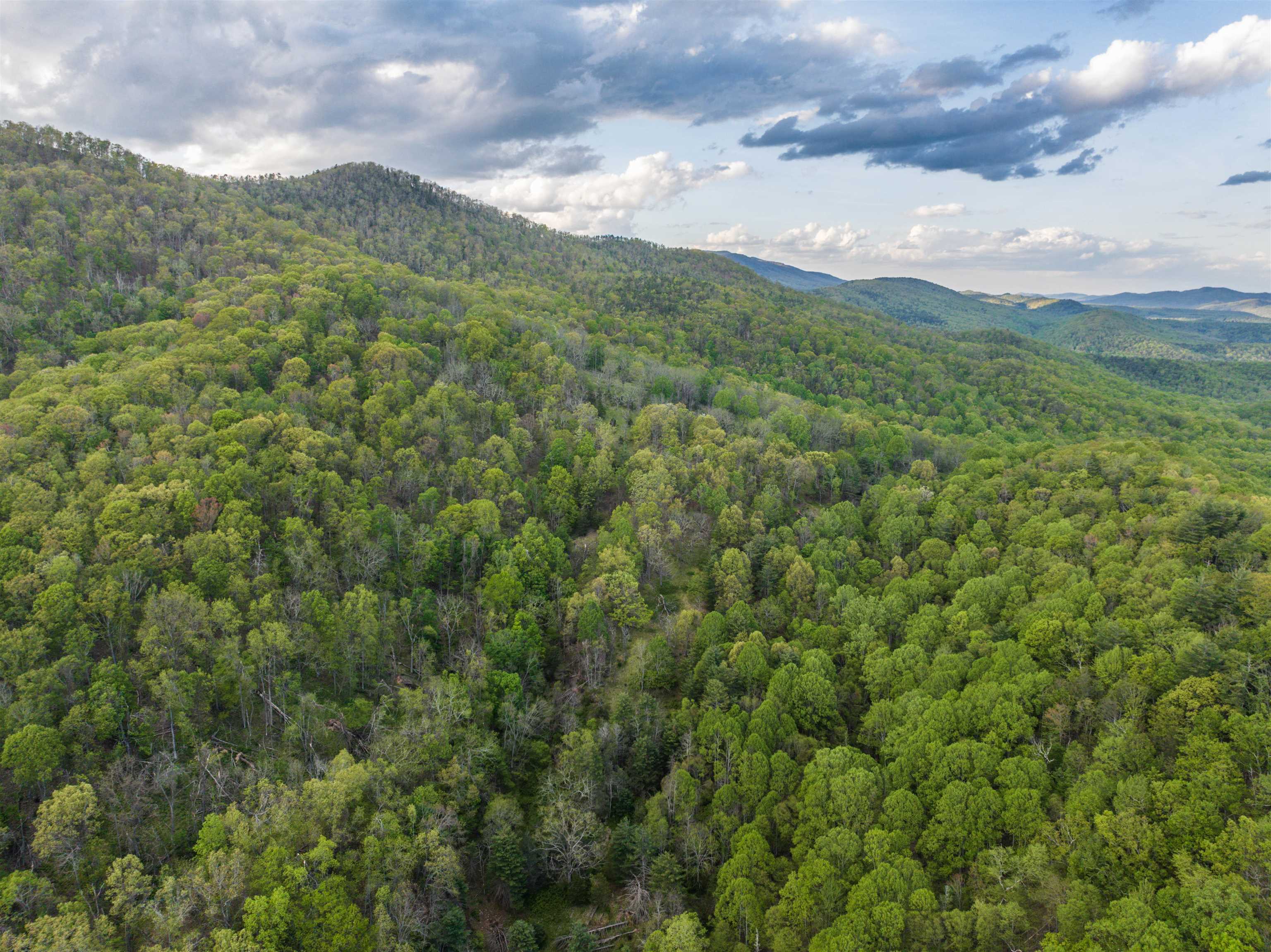 5813 SOUNDING KNOB RD, MCDOWELL, Virginia 24458, ,Farm,5813 SOUNDING KNOB RD,664391 MLS # 664391