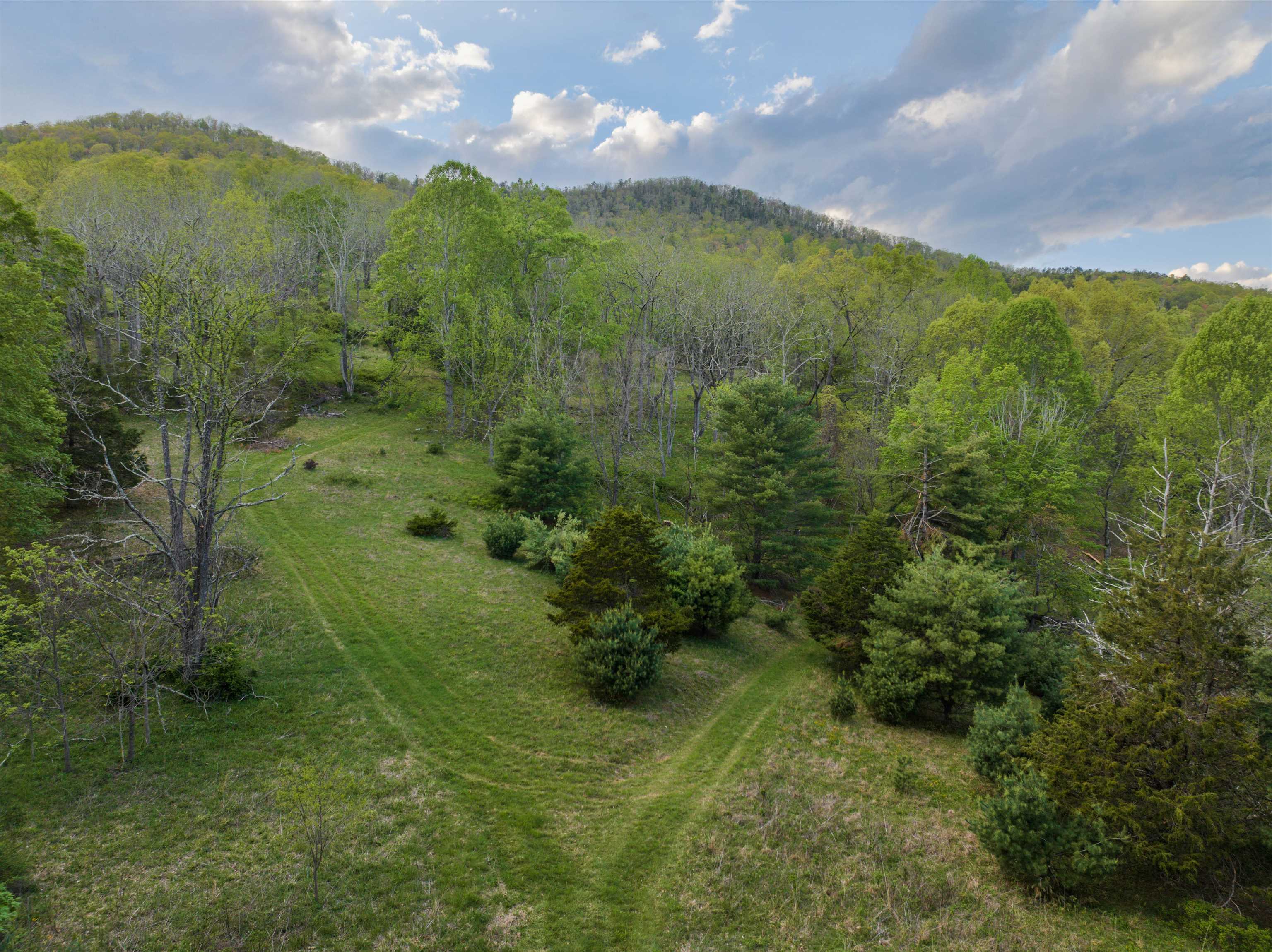 5813 SOUNDING KNOB RD, MCDOWELL, Virginia 24458, ,Farm,5813 SOUNDING KNOB RD,664391 MLS # 664391