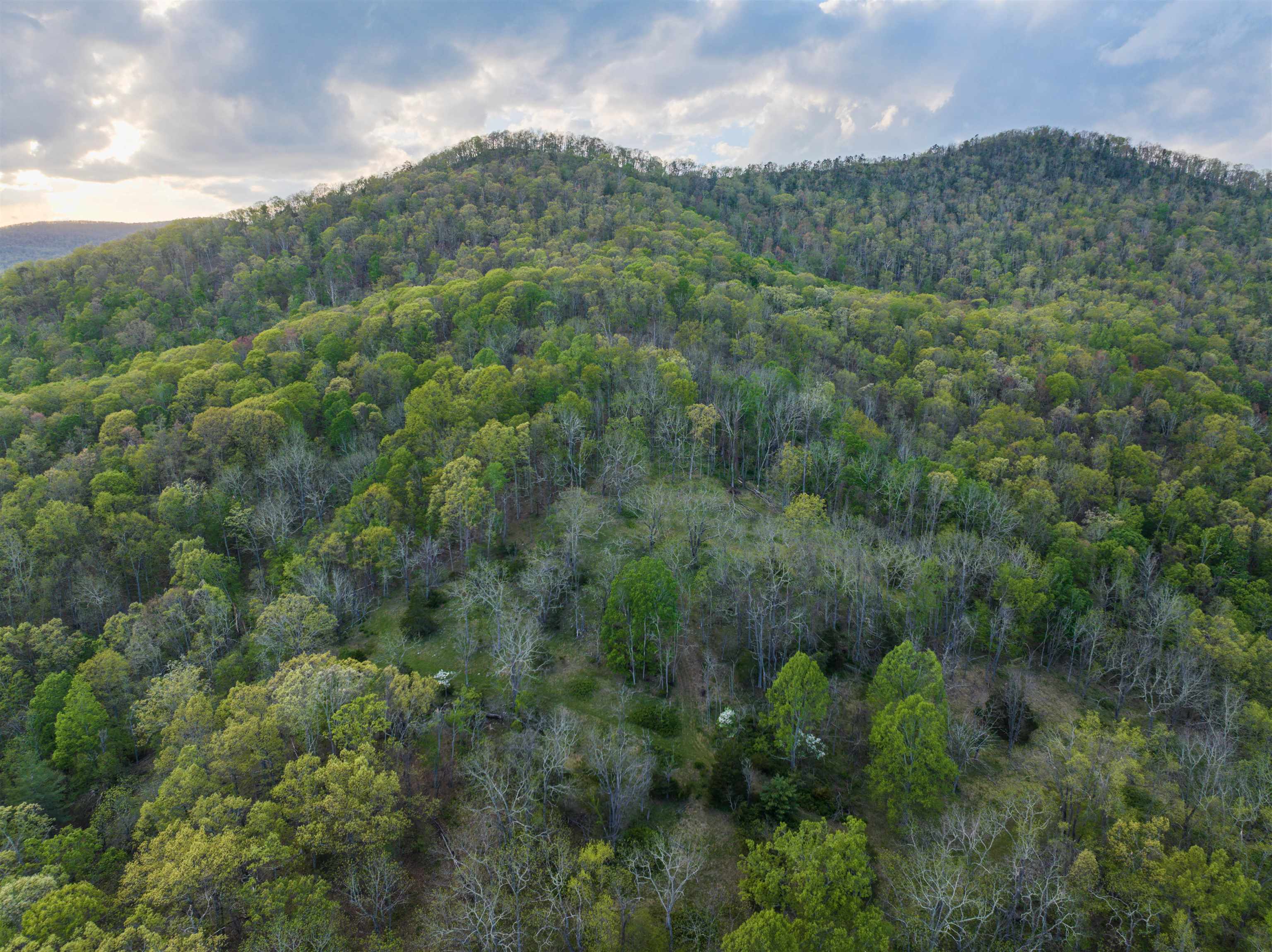 5813 SOUNDING KNOB RD, MCDOWELL, Virginia 24458, ,Farm,5813 SOUNDING KNOB RD,664391 MLS # 664391