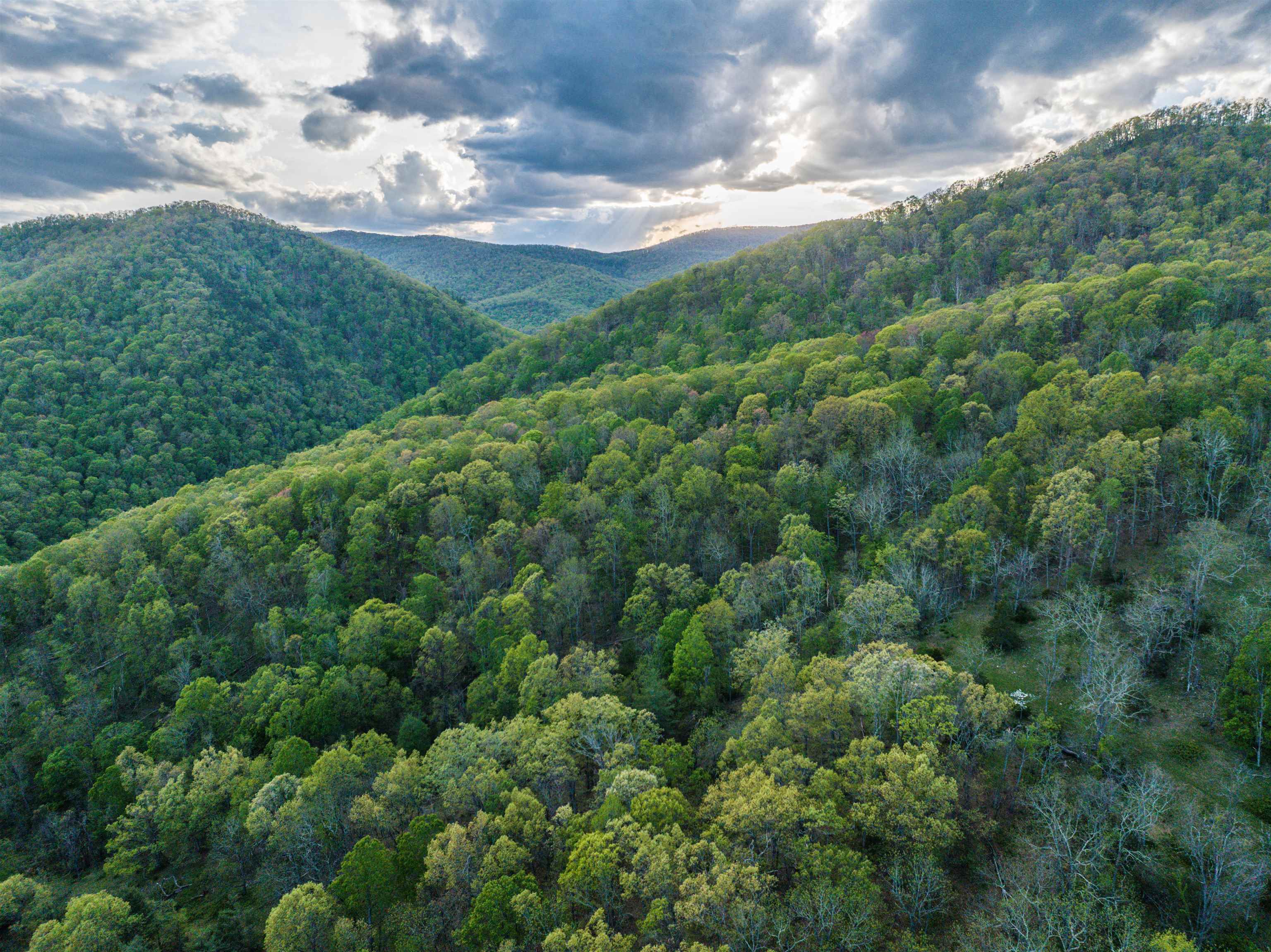 5813 SOUNDING KNOB RD, MCDOWELL, Virginia 24458, ,Farm,5813 SOUNDING KNOB RD,664391 MLS # 664391