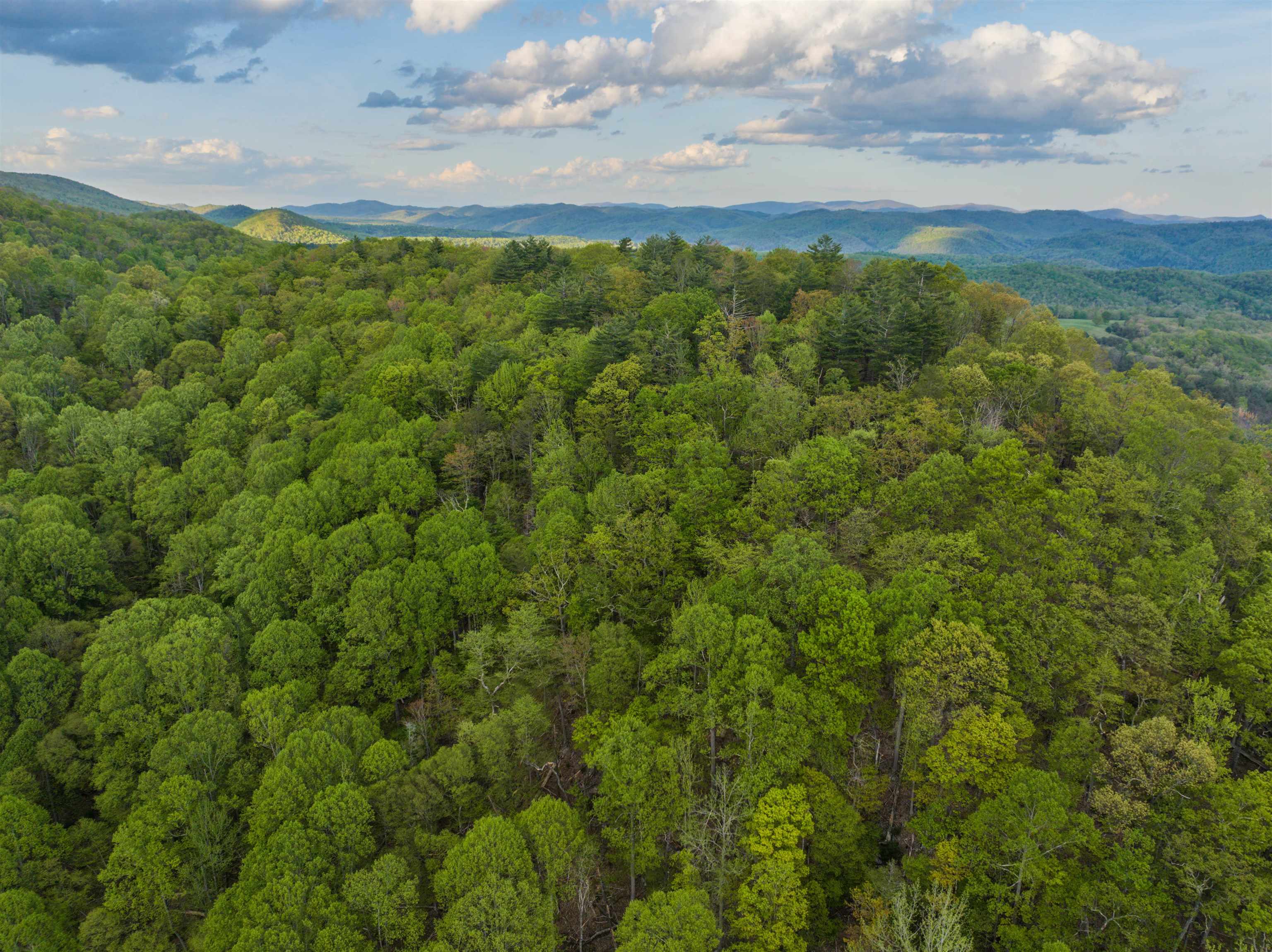 5813 SOUNDING KNOB RD, MCDOWELL, Virginia 24458, ,Farm,5813 SOUNDING KNOB RD,664391 MLS # 664391