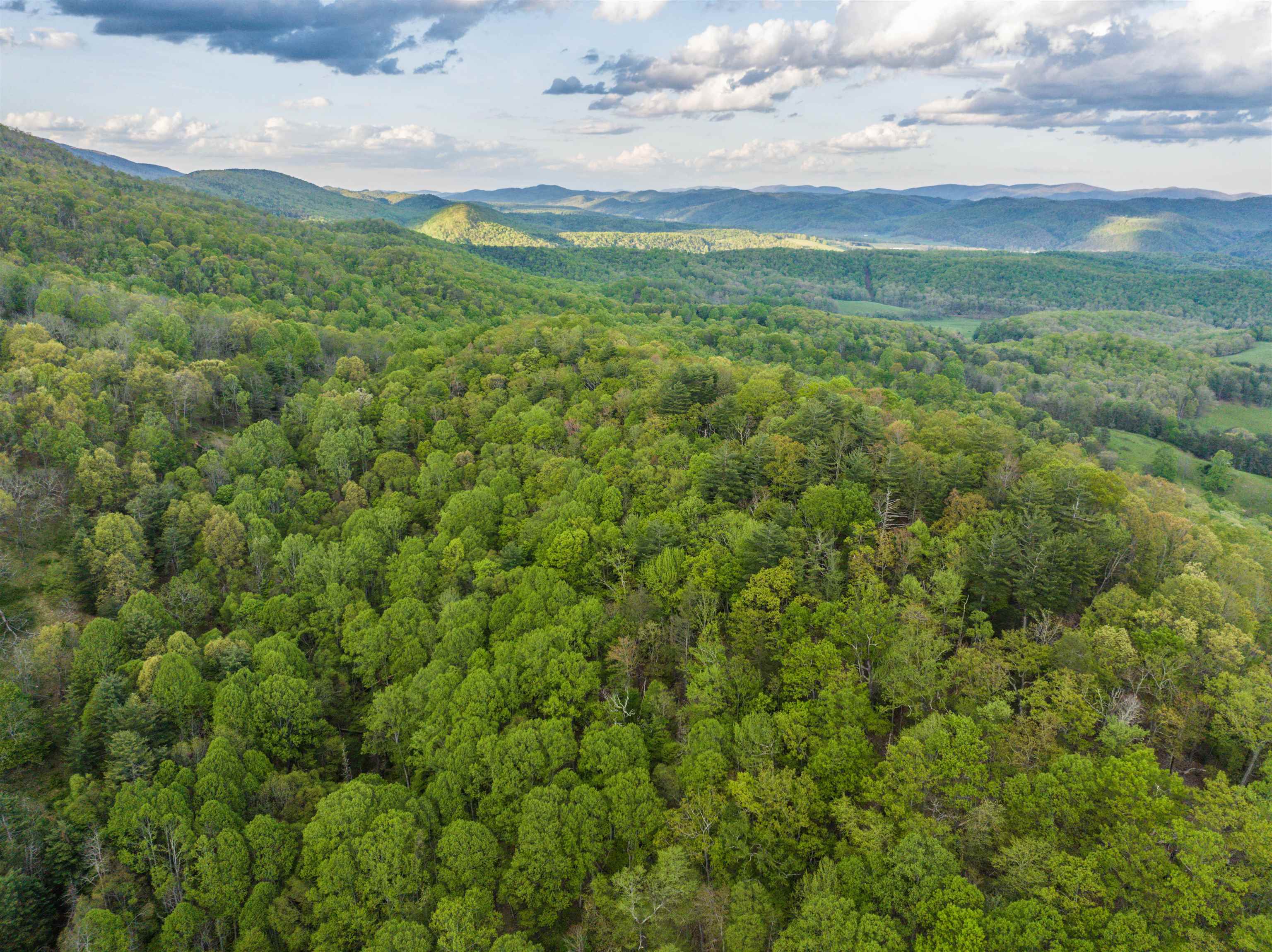 5813 SOUNDING KNOB RD, MCDOWELL, Virginia 24458, ,Farm,5813 SOUNDING KNOB RD,664391 MLS # 664391