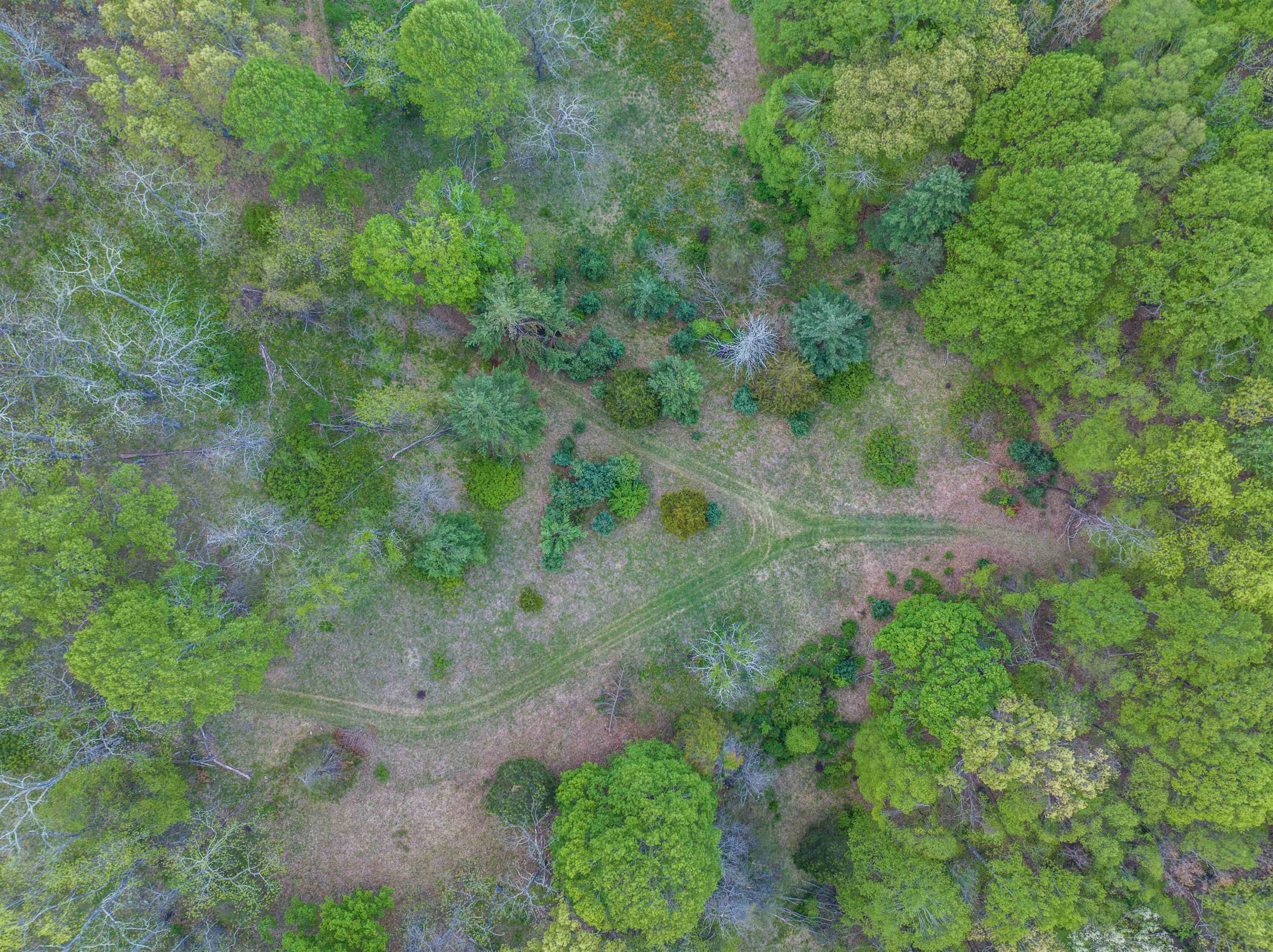 5813 SOUNDING KNOB RD, MCDOWELL, Virginia 24458, ,Farm,5813 SOUNDING KNOB RD,664391 MLS # 664391